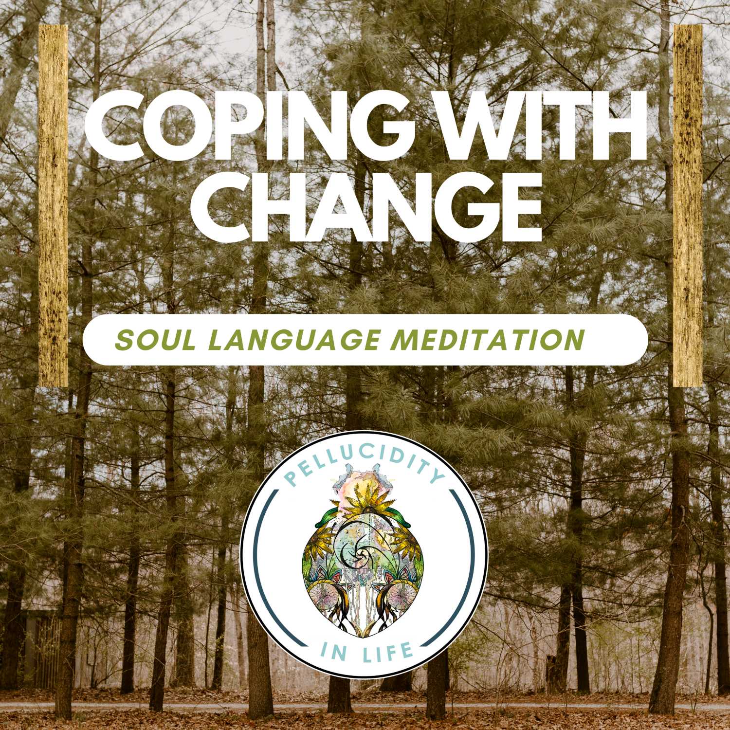 Soul Language Meditations | Managing Shifts & Change