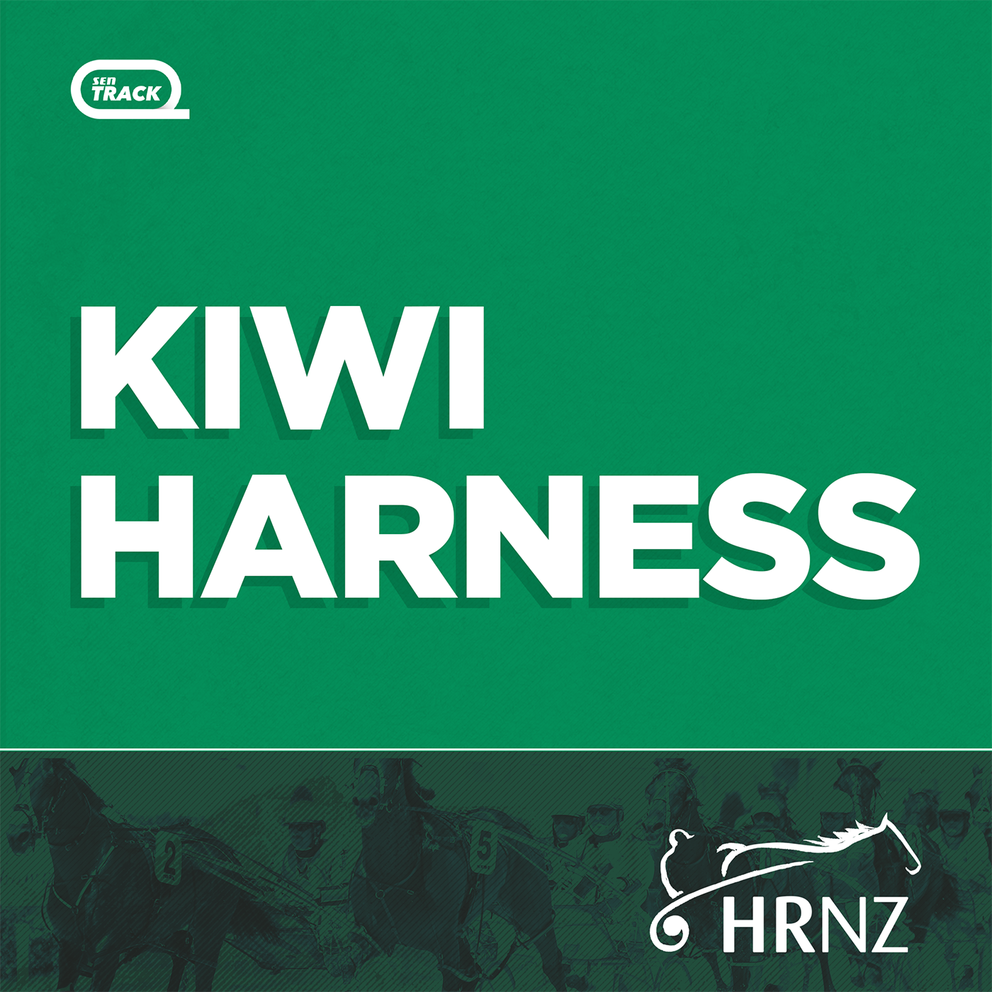 Trots Talk: Tony Herlihy on 'Bolt for Brilliance' & other chances at Addington today (4/12/22)