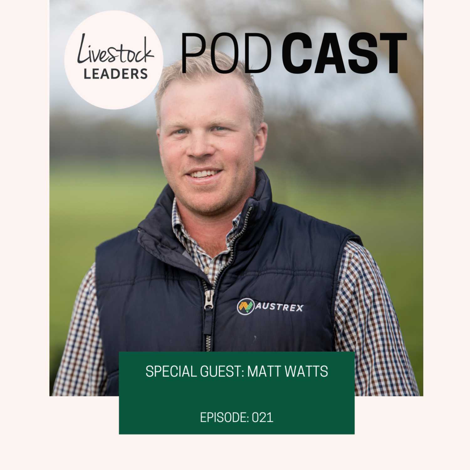 Matt Watts - Life as a livestock buyer