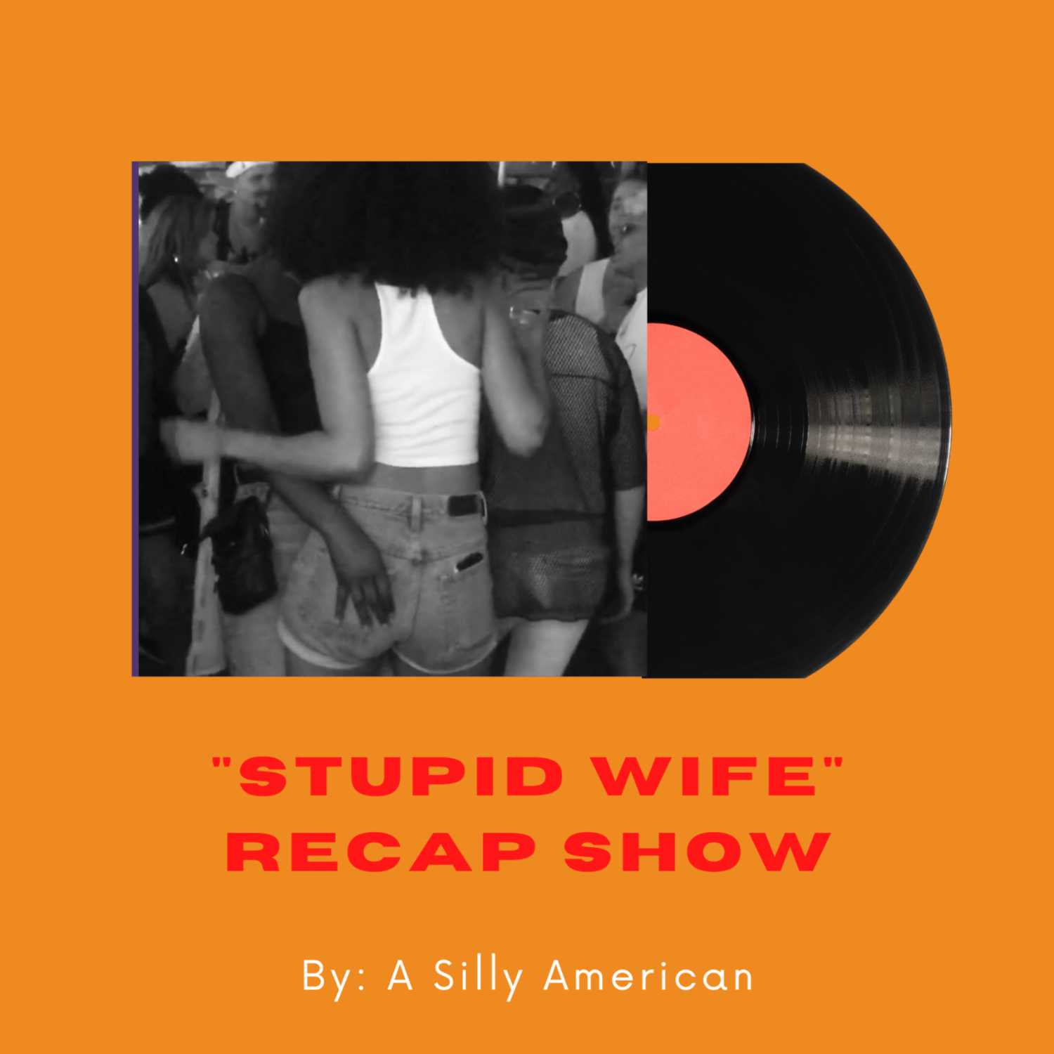 Silly American, A Stupid Wife Recap 