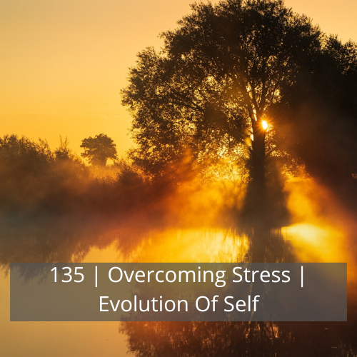 135 | Overcoming Stress | Evolution Of Self