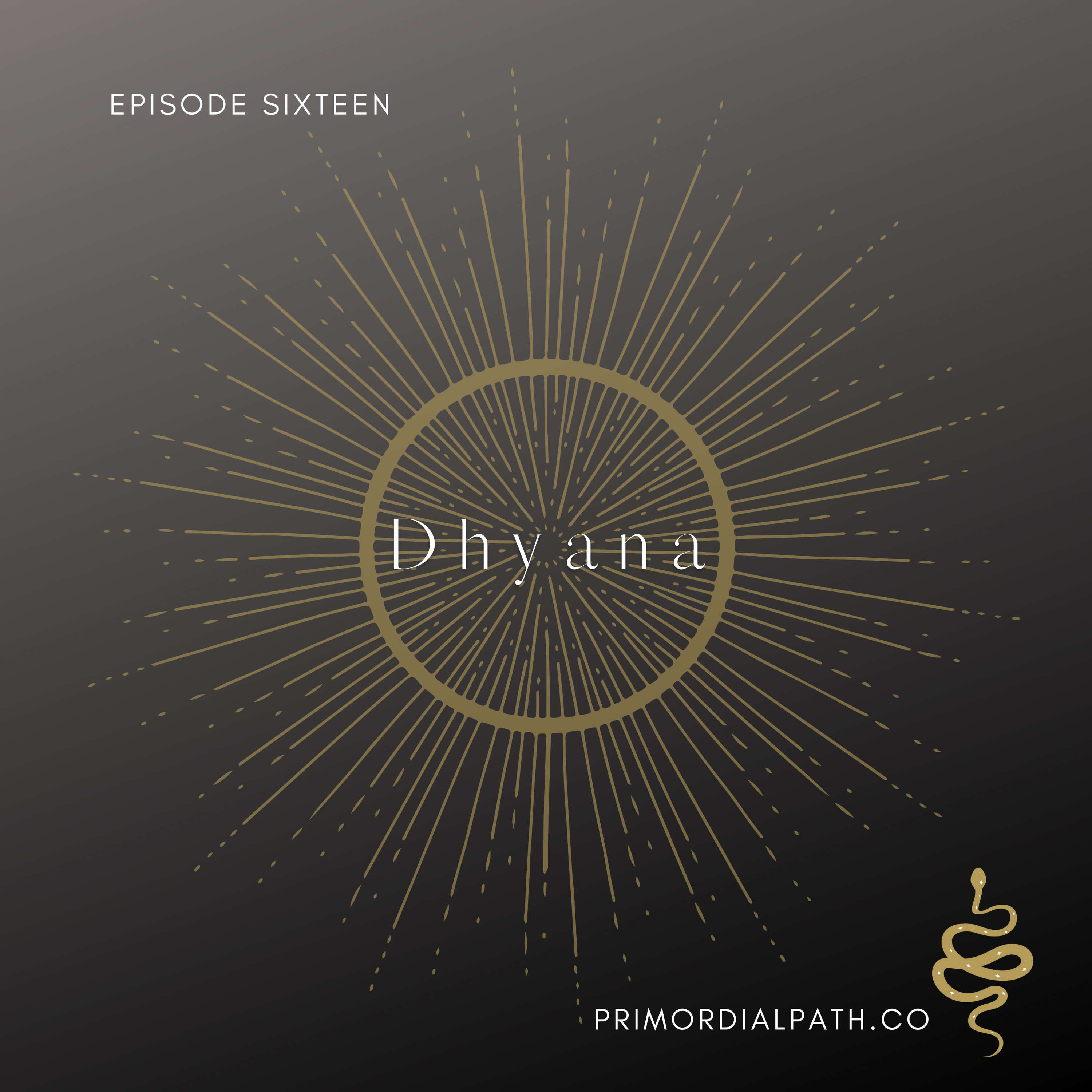 The 8 Limbs: Dhyana