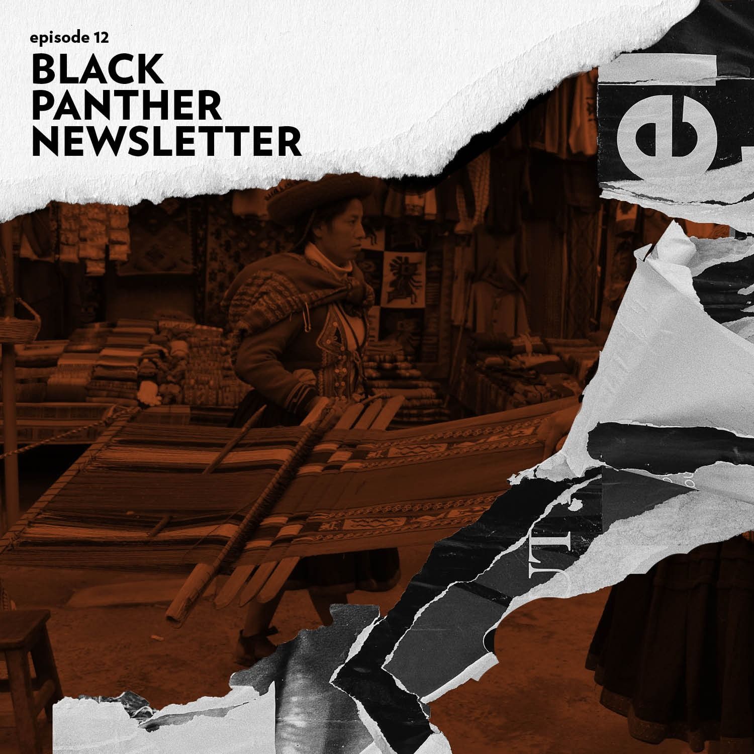 Black Panther Newsletter