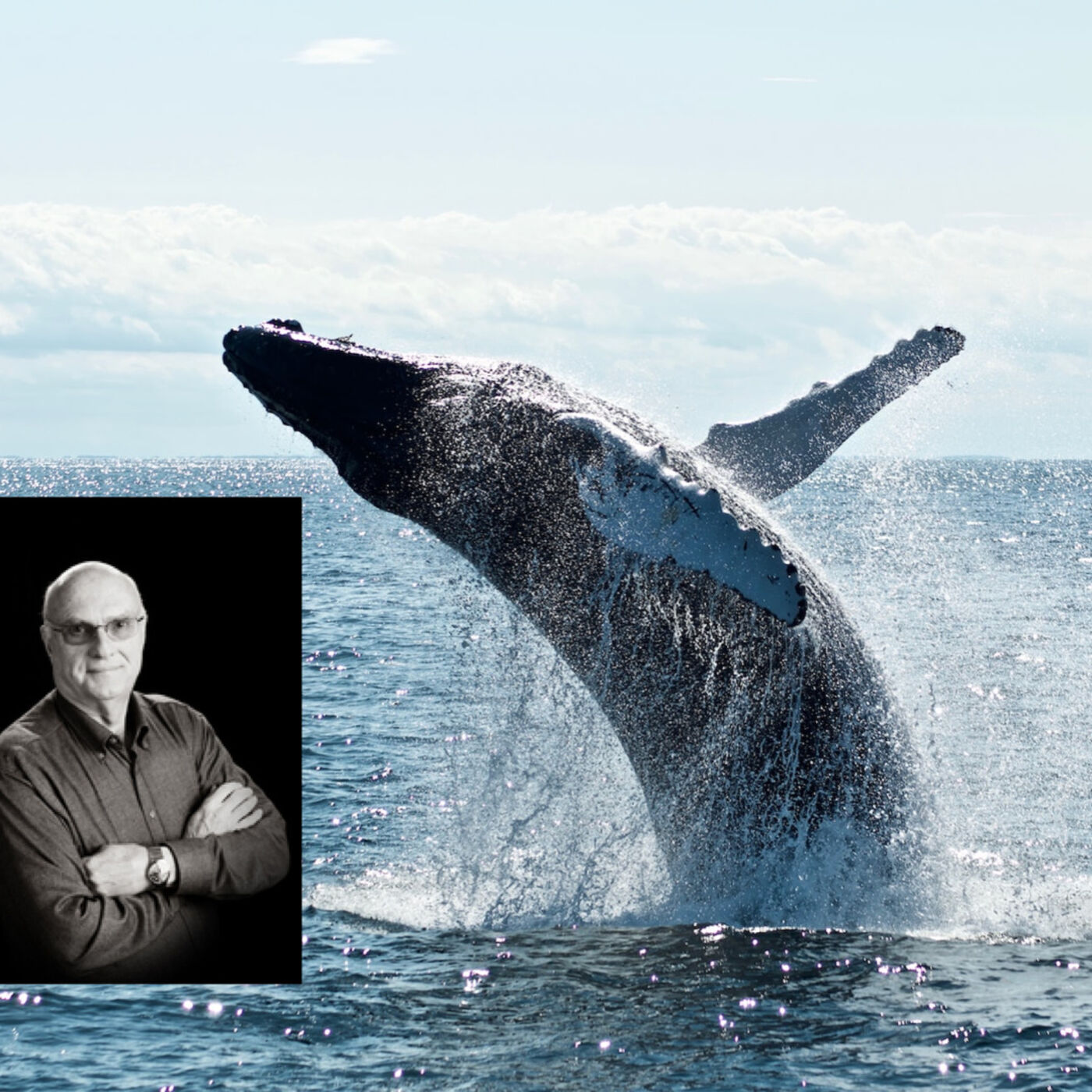 Heads Up Dreaming with the original precognitive dreaming Professor, Carlyle T. Smith
