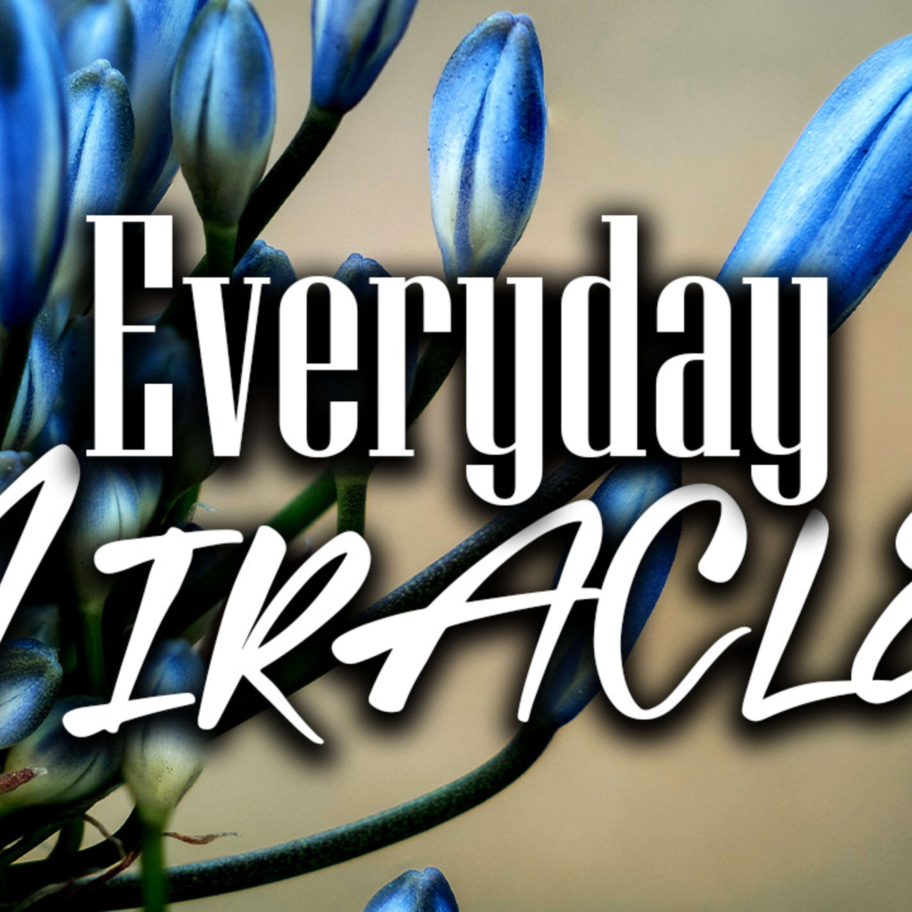 Everyday Miracles - Todd Blanton