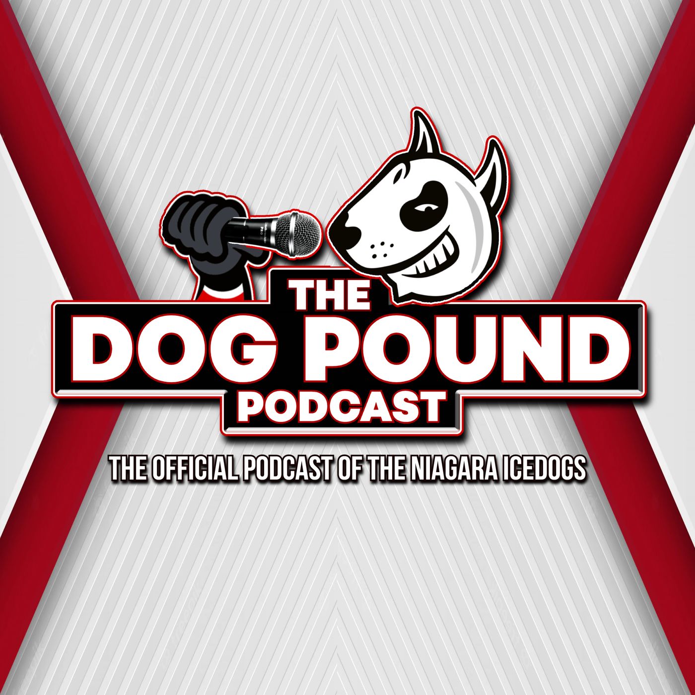 It's Teddy Time - Dog Pound Podcast