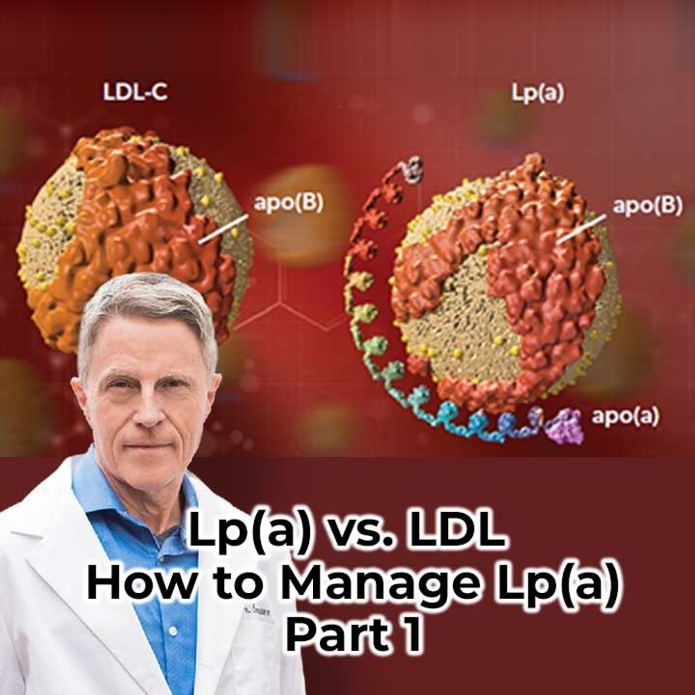 Lp(a) vs. LDL - How to Manage Lp(a) Part 1 - FORD BREWER MD MPH