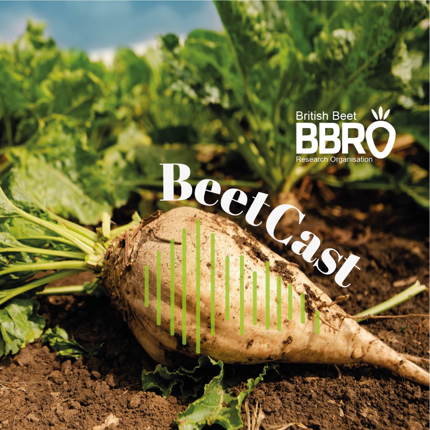 BeetCast December 2022: Sugar Beet Heaven!