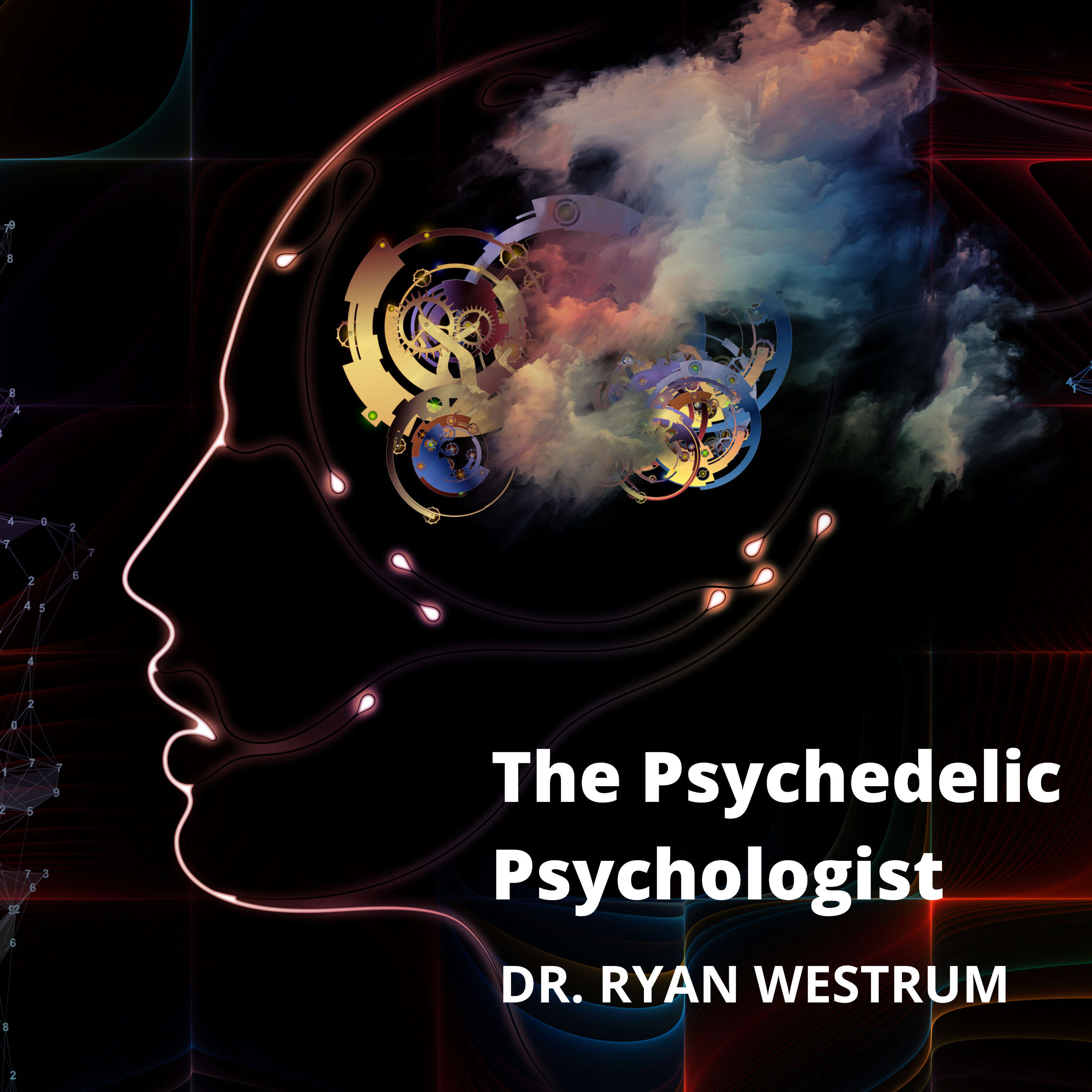 The Psychedelic Psychologist 