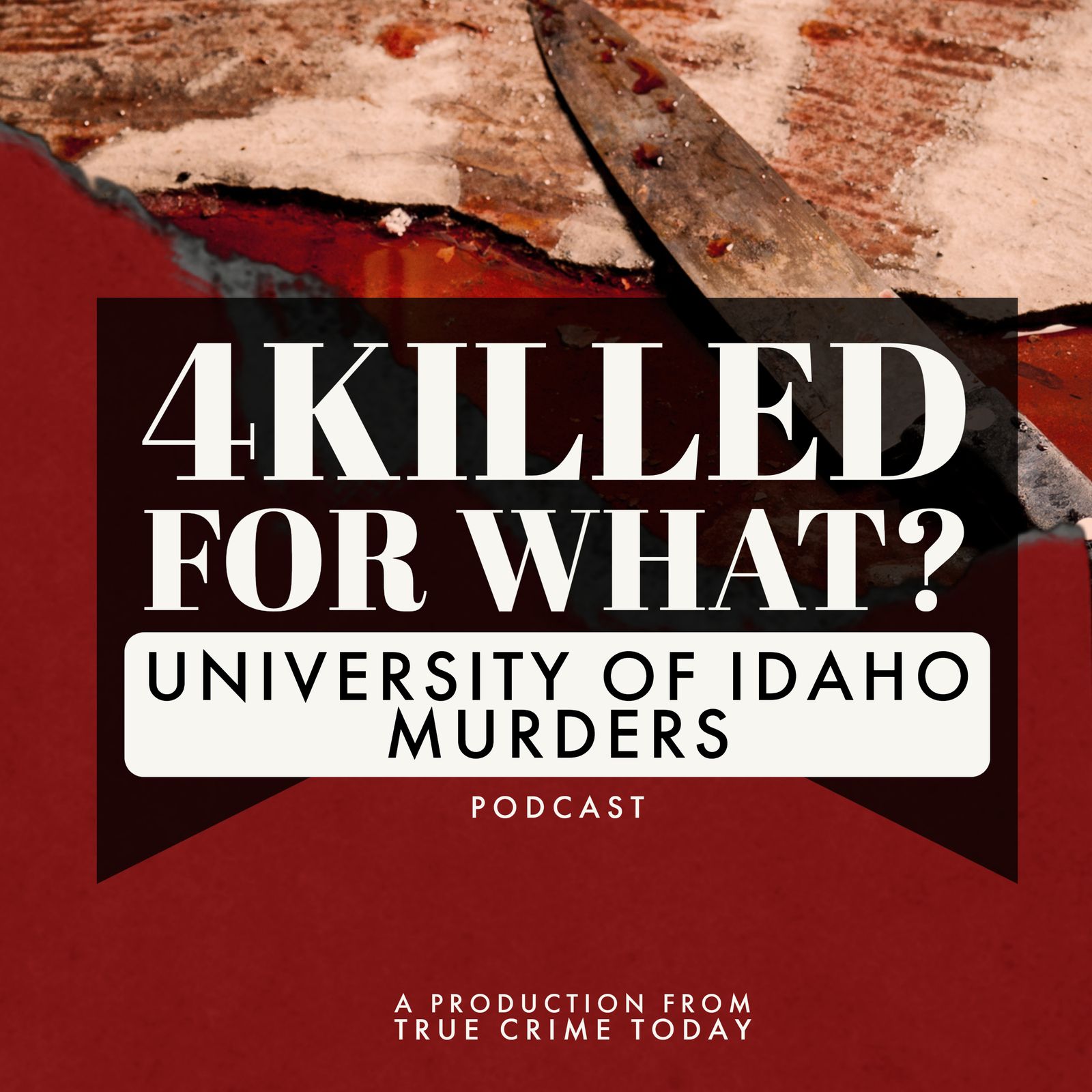 Who Was "Cleared" Too Soon? | Idaho Murders Podcast