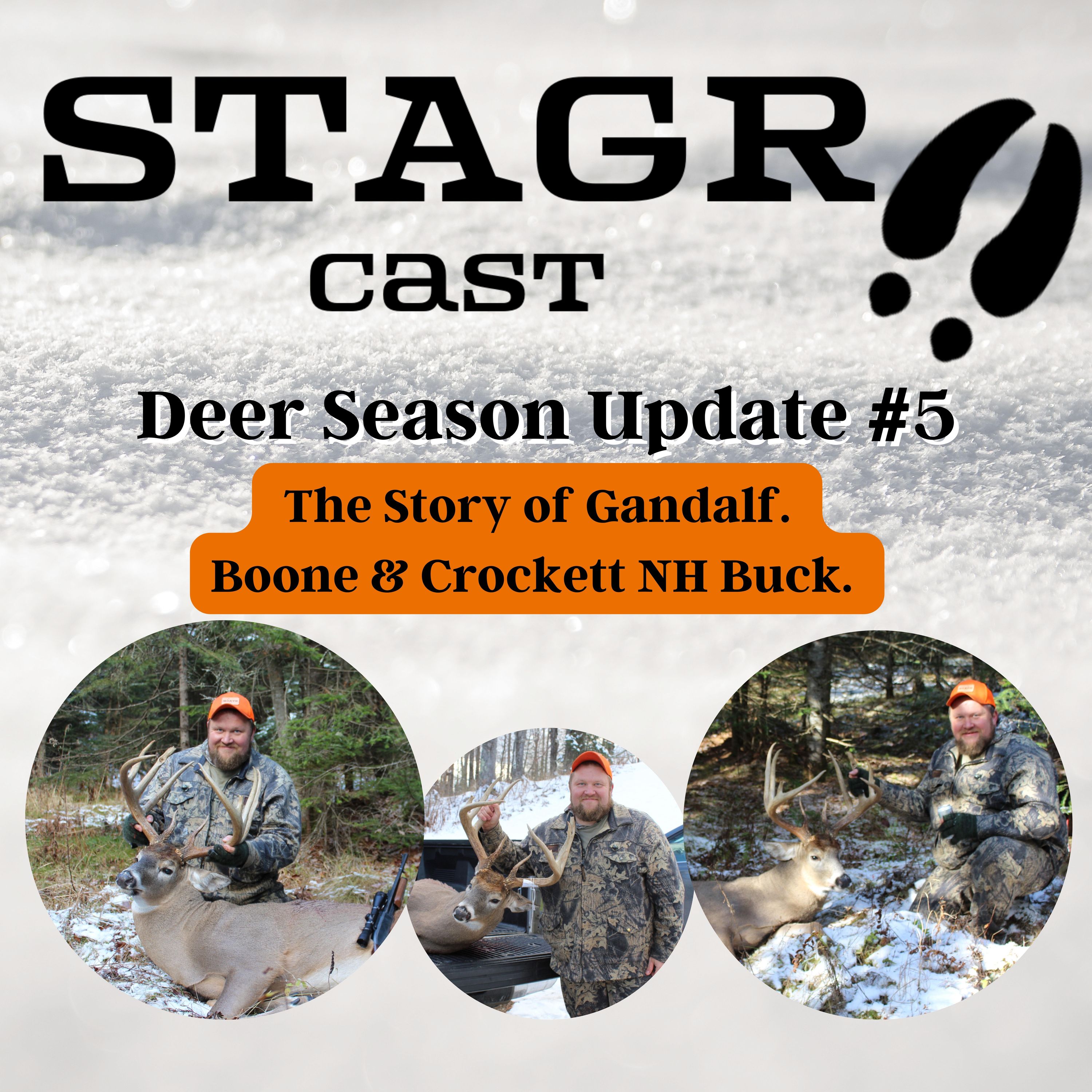 ⁣Deer Season Update #5: The Story of Gandalf.  Boone & Crockett NH Buck