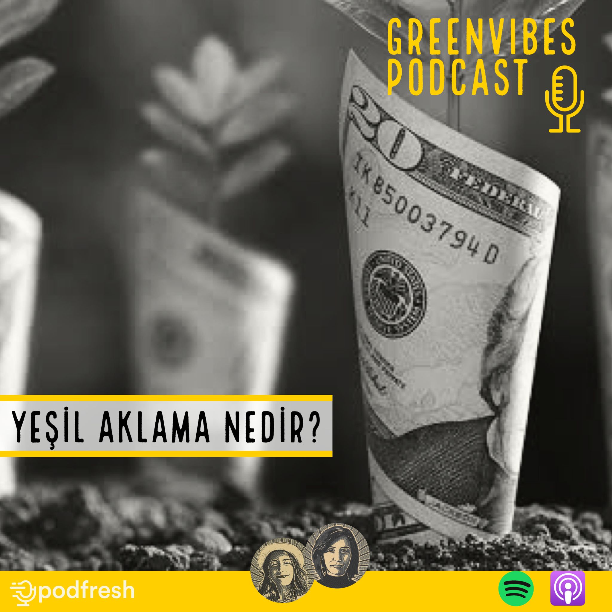 ⁣Yeşil Aklama Nedir?