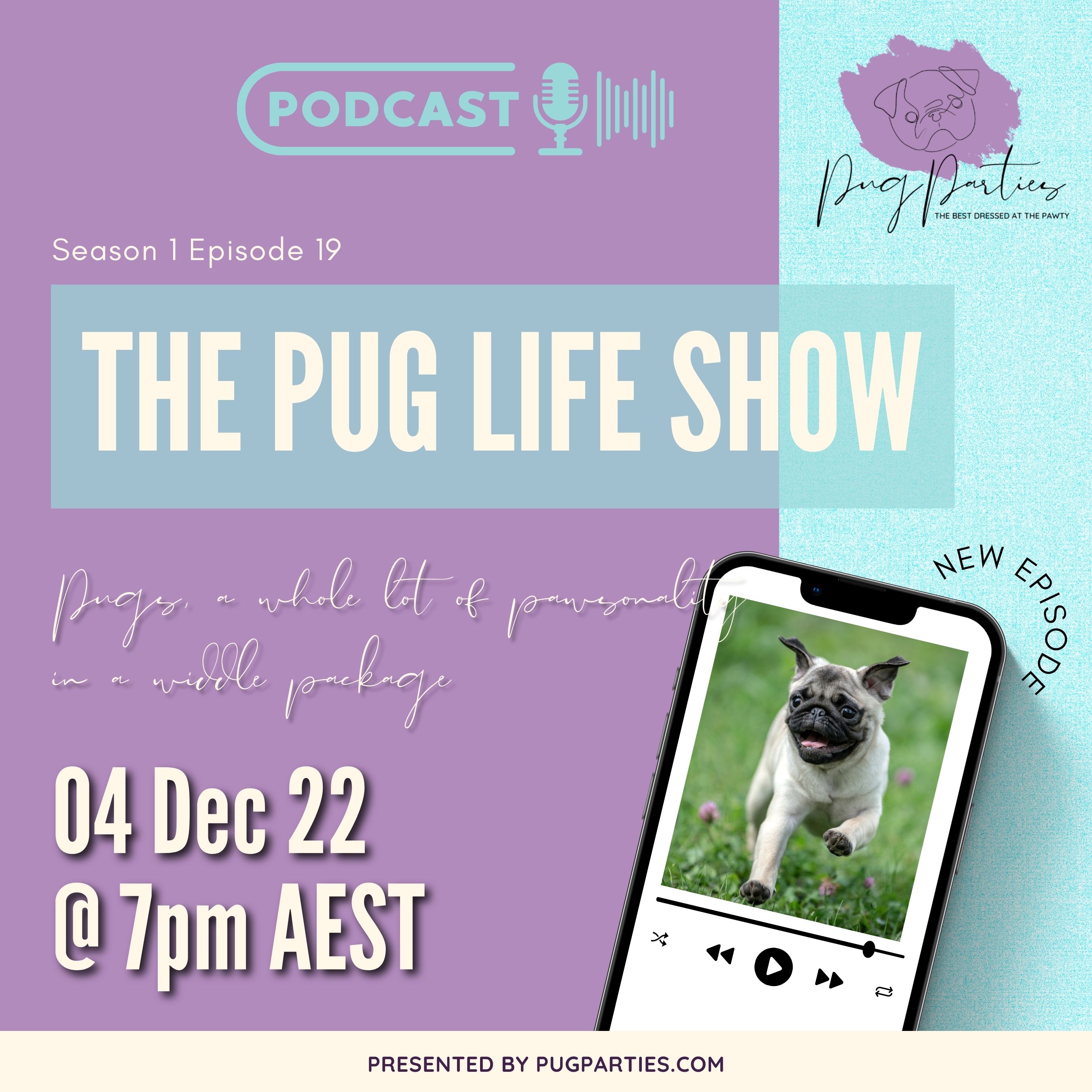 Ep 19: Pugs; a whole lot of pawsonality in a widdle package