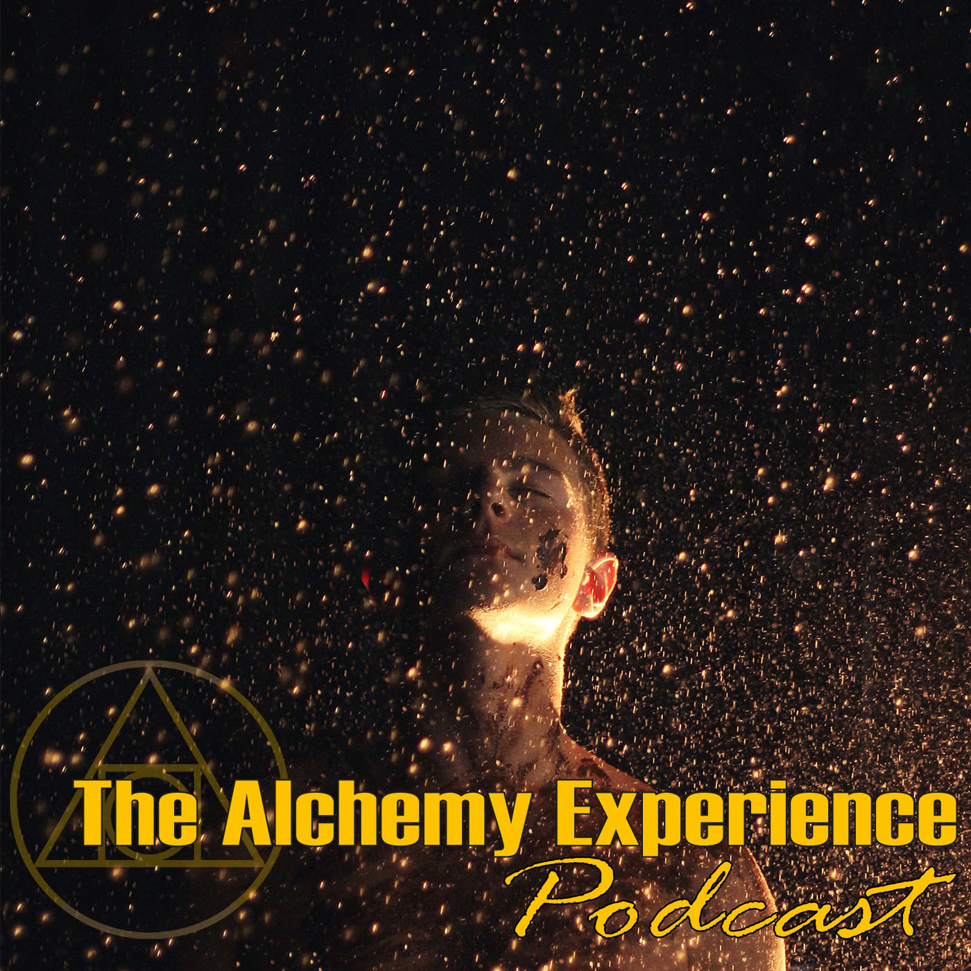 The Alchemy Experience 