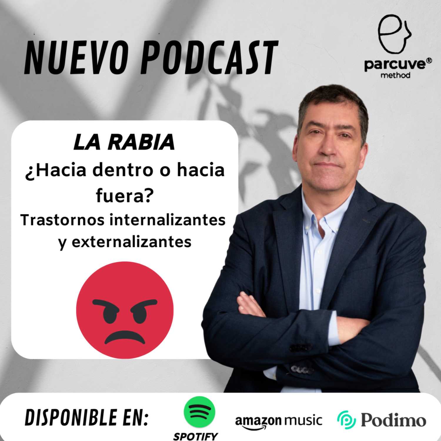 LA RABIA ¿HACIA ADENTRO O HACIA FUERA? Trastornos internalizantes y externalizantes