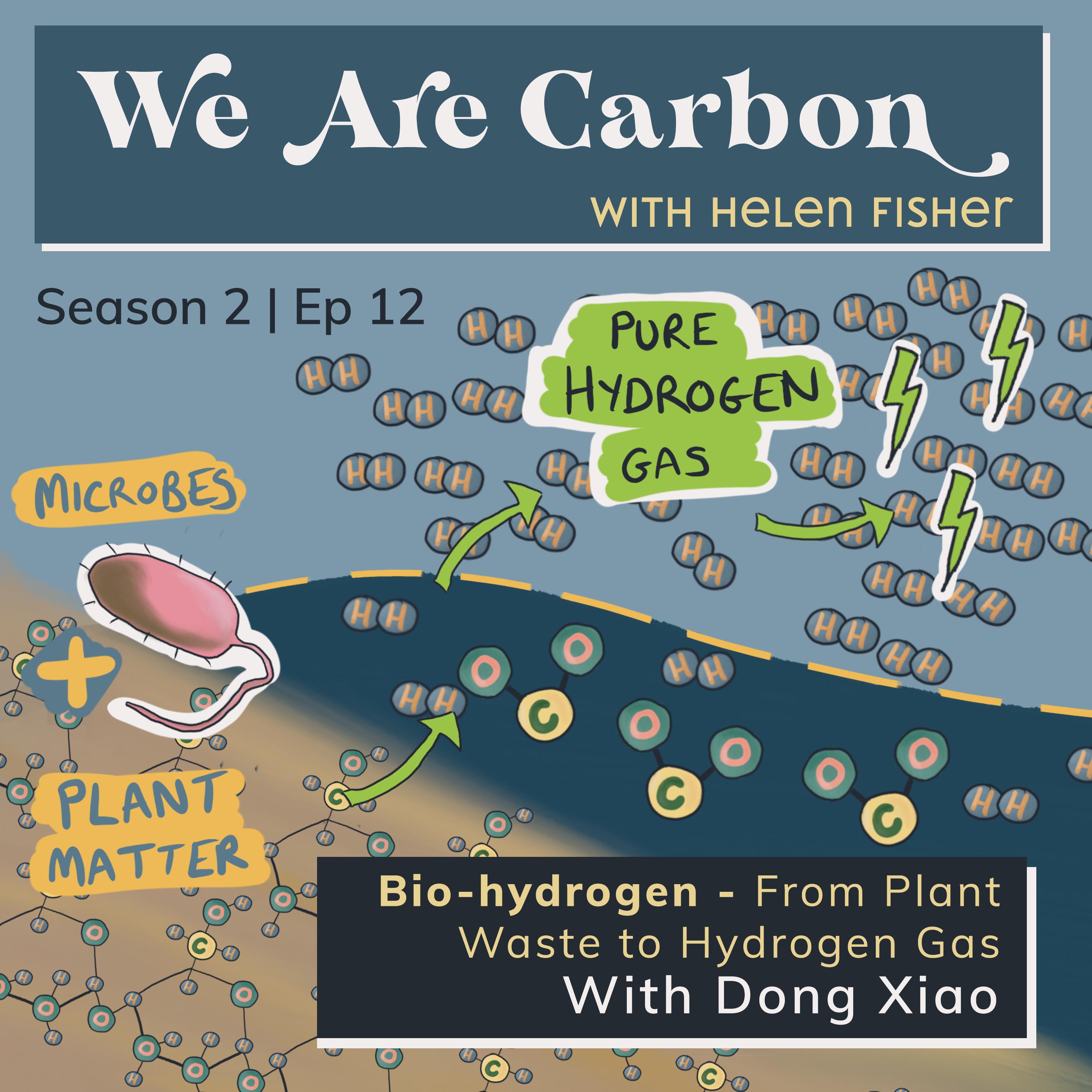 Bio-hydrogen. From Plant Waste to Hydrogen Gas - With Dong Xiao