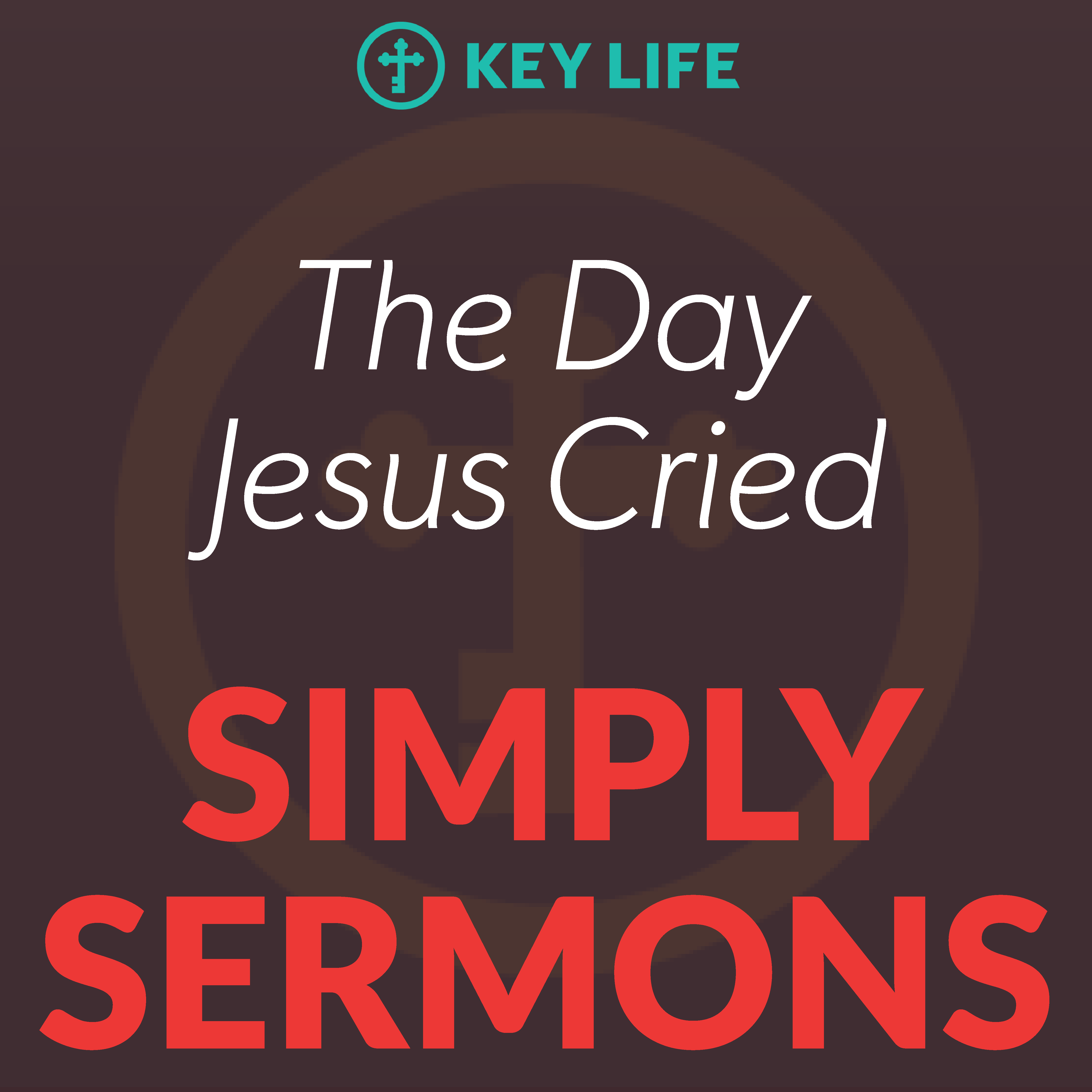 ⁣The Day Jesus Cried – Steve Brown