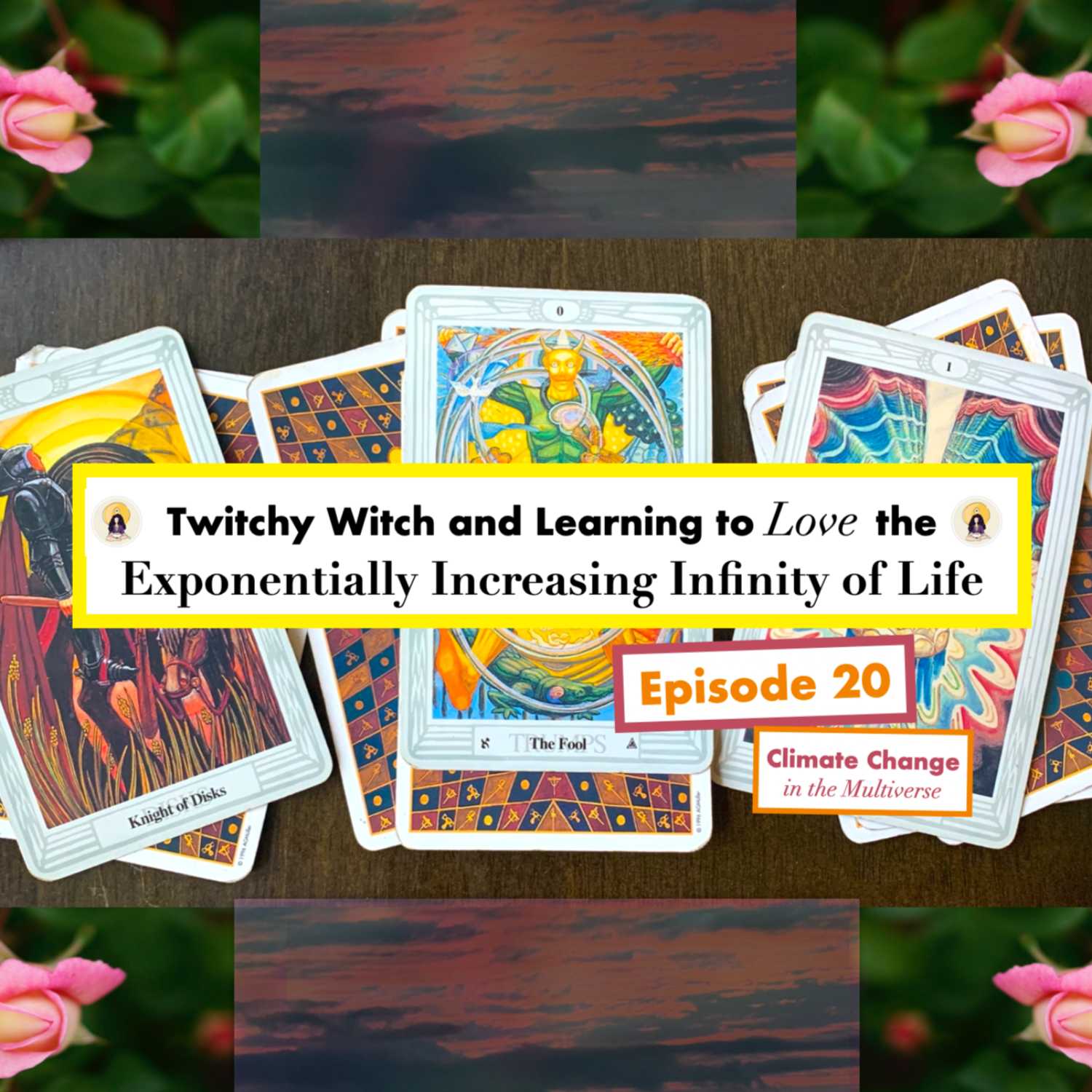 Learning to Love the Exponentially Increasing Infinity of Life with Twitchy Witch