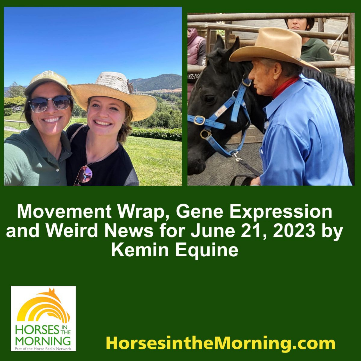 Movement Wrap, Gene Expression and Weird News for June 21, 2023 by Kemin Equine