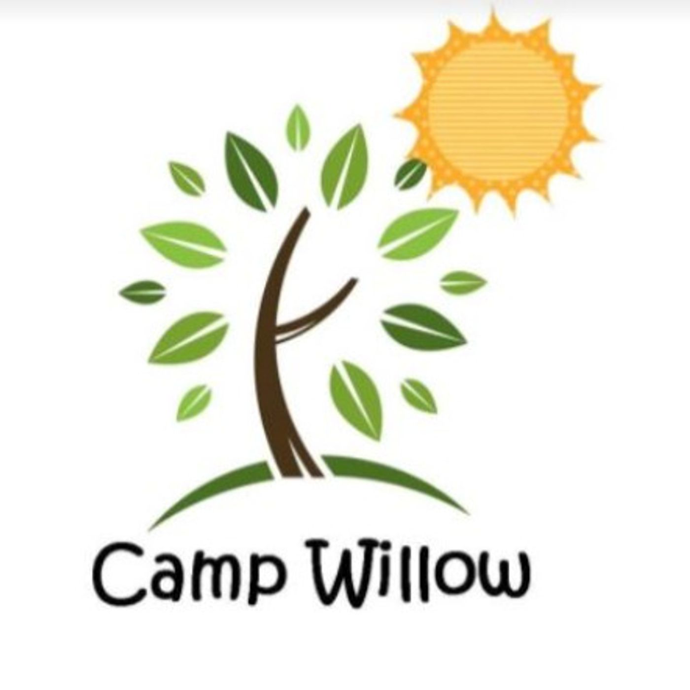 B7: Camp Willow - Yellow Group