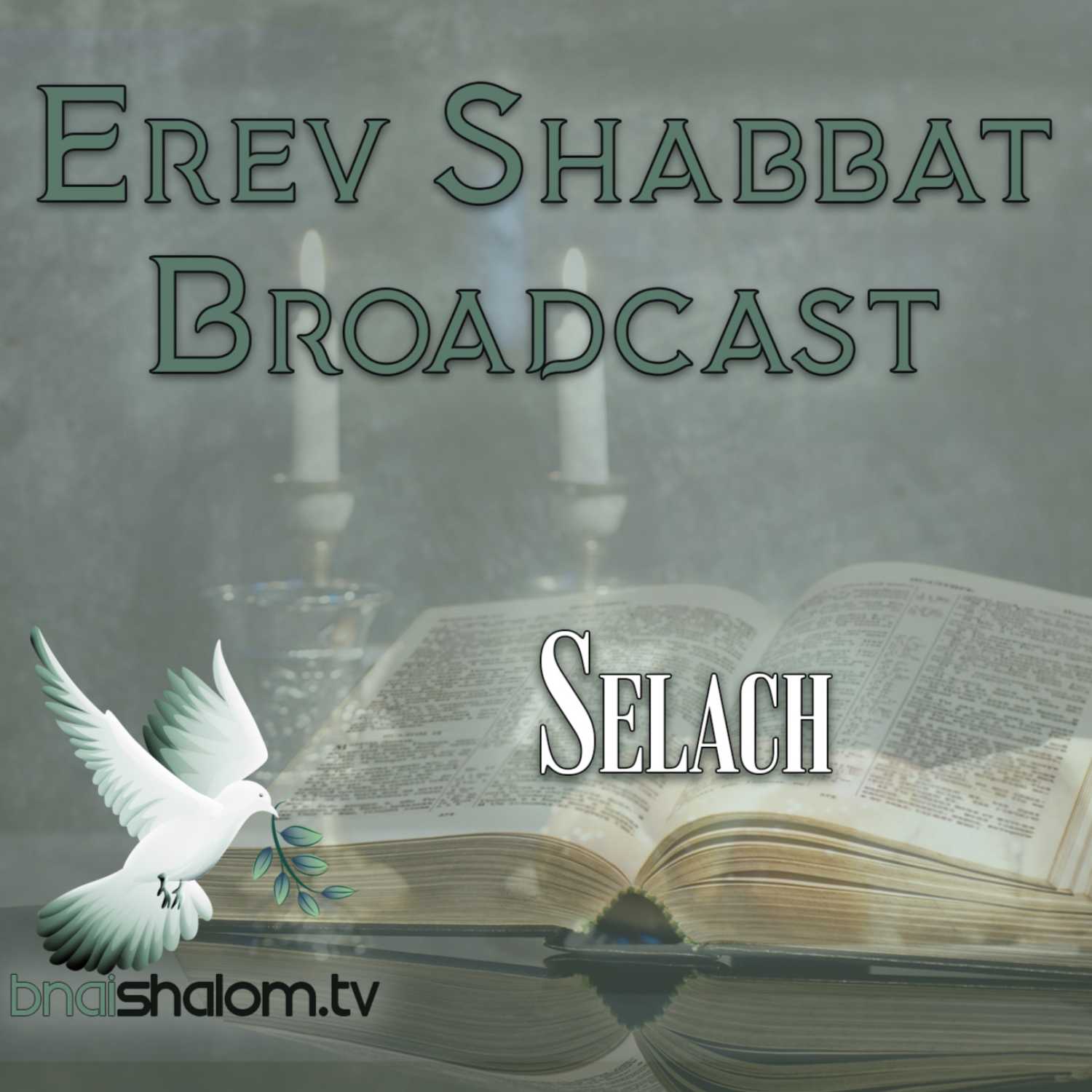 ⁣Shelach | Erev Shabbat: Send for Yourself