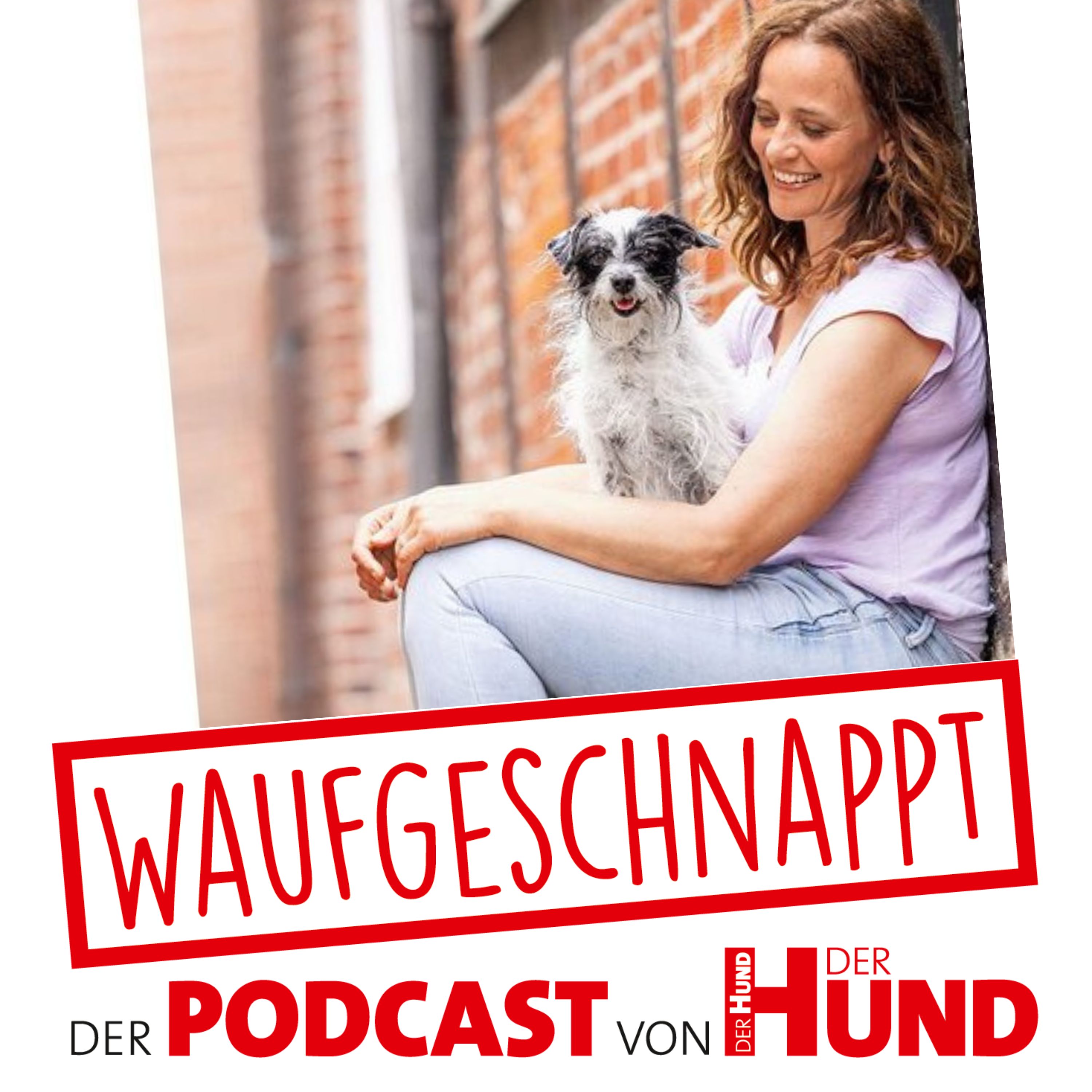 Die 10 Kompetenzen für Hunde - Kate Kitchenham