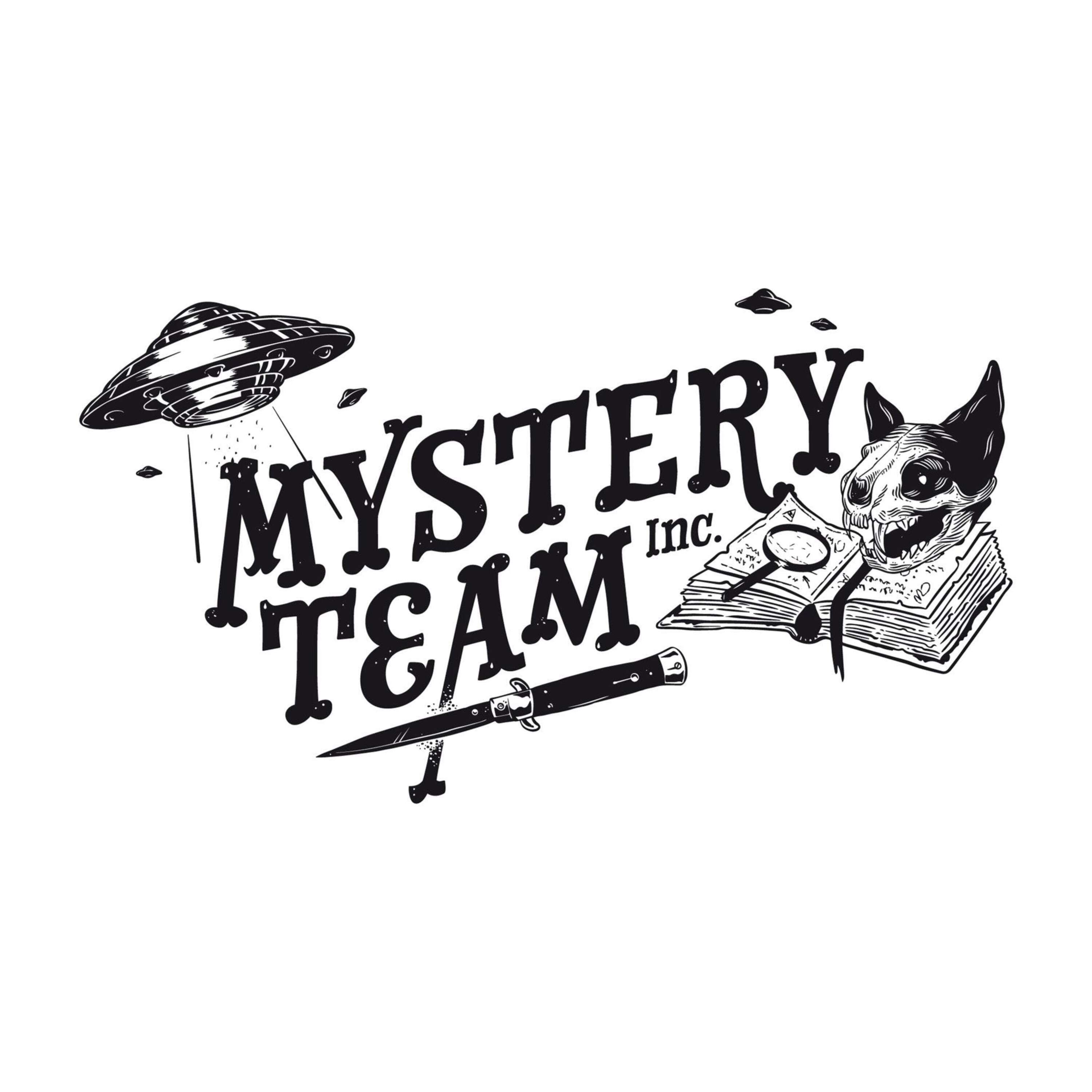 Mystery Team Inc. 