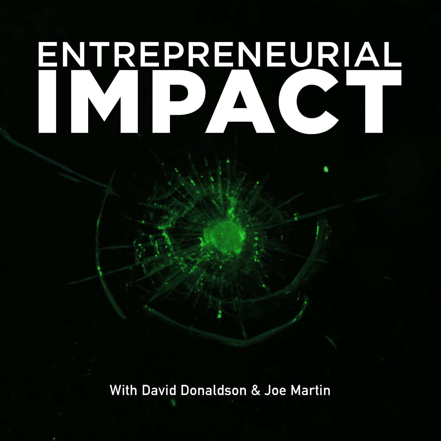 Entrepreneurial Impact 