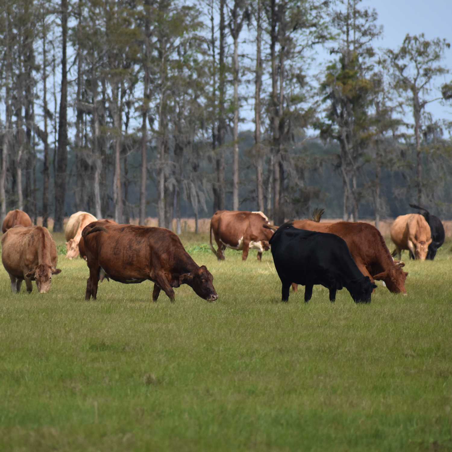 Forage Workers Tour Part 4