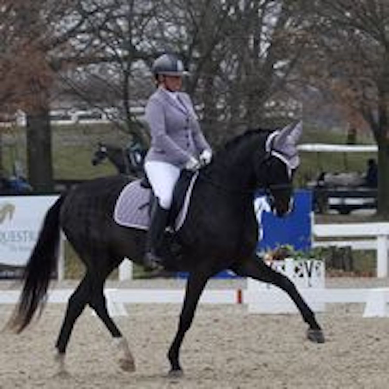 Tips From a Dressage Judge,  Plus Another Trainer Tip on Lunging