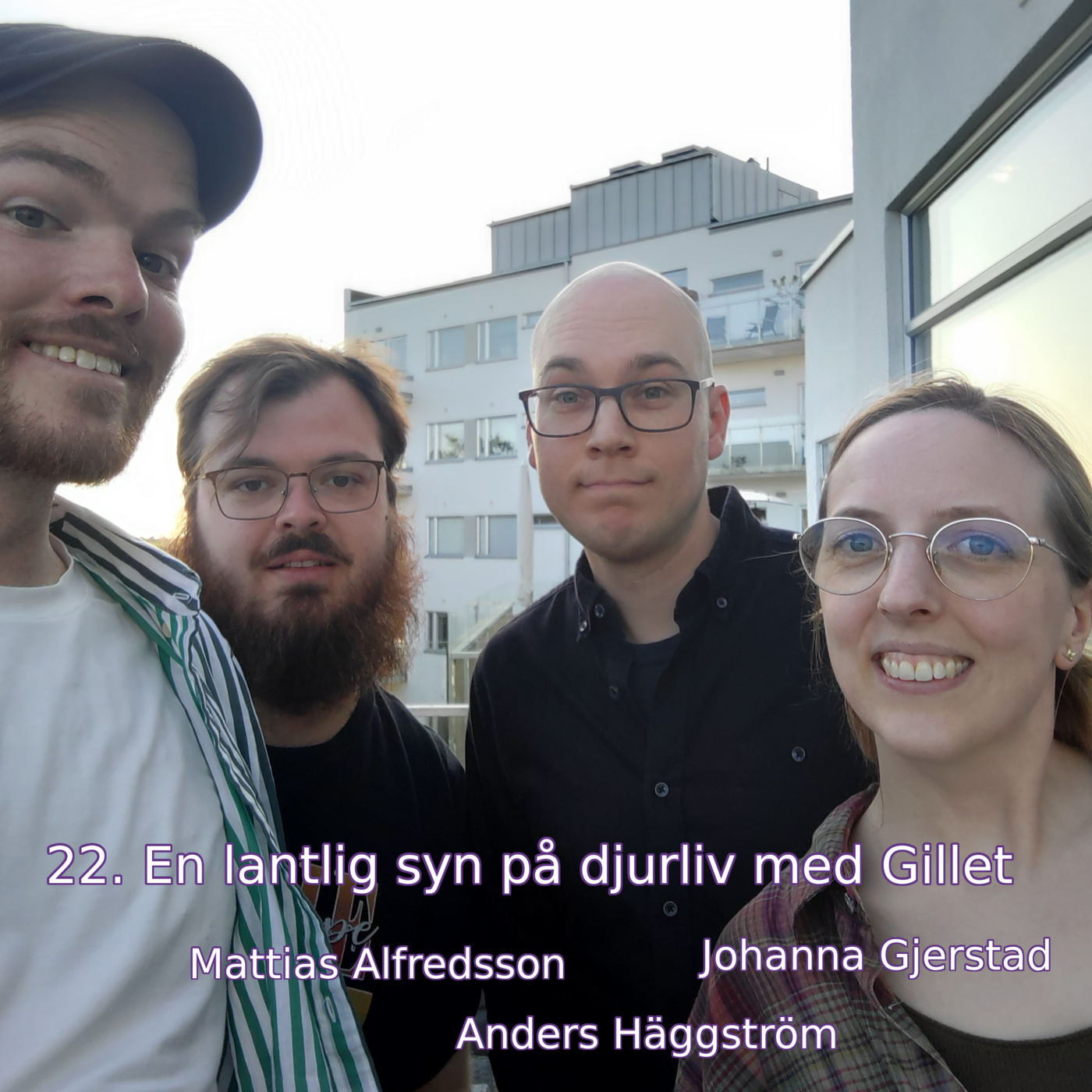 22. En lantlig syn på djurliv med Gillet (Johanna Gjerstad, Anders Häggström & Mattias Alfredsson)