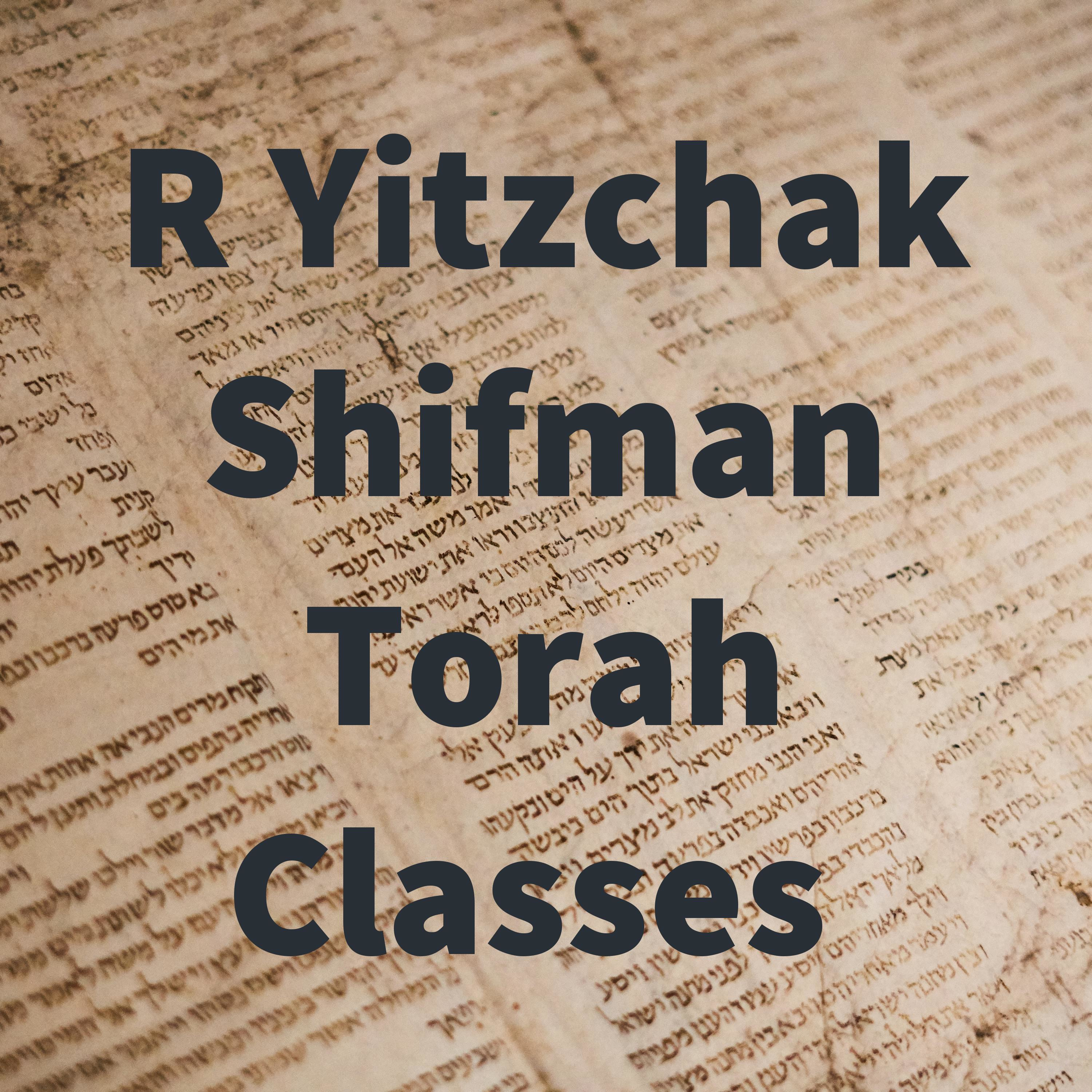 Mishna Berura Recaps- 17:1-18:3