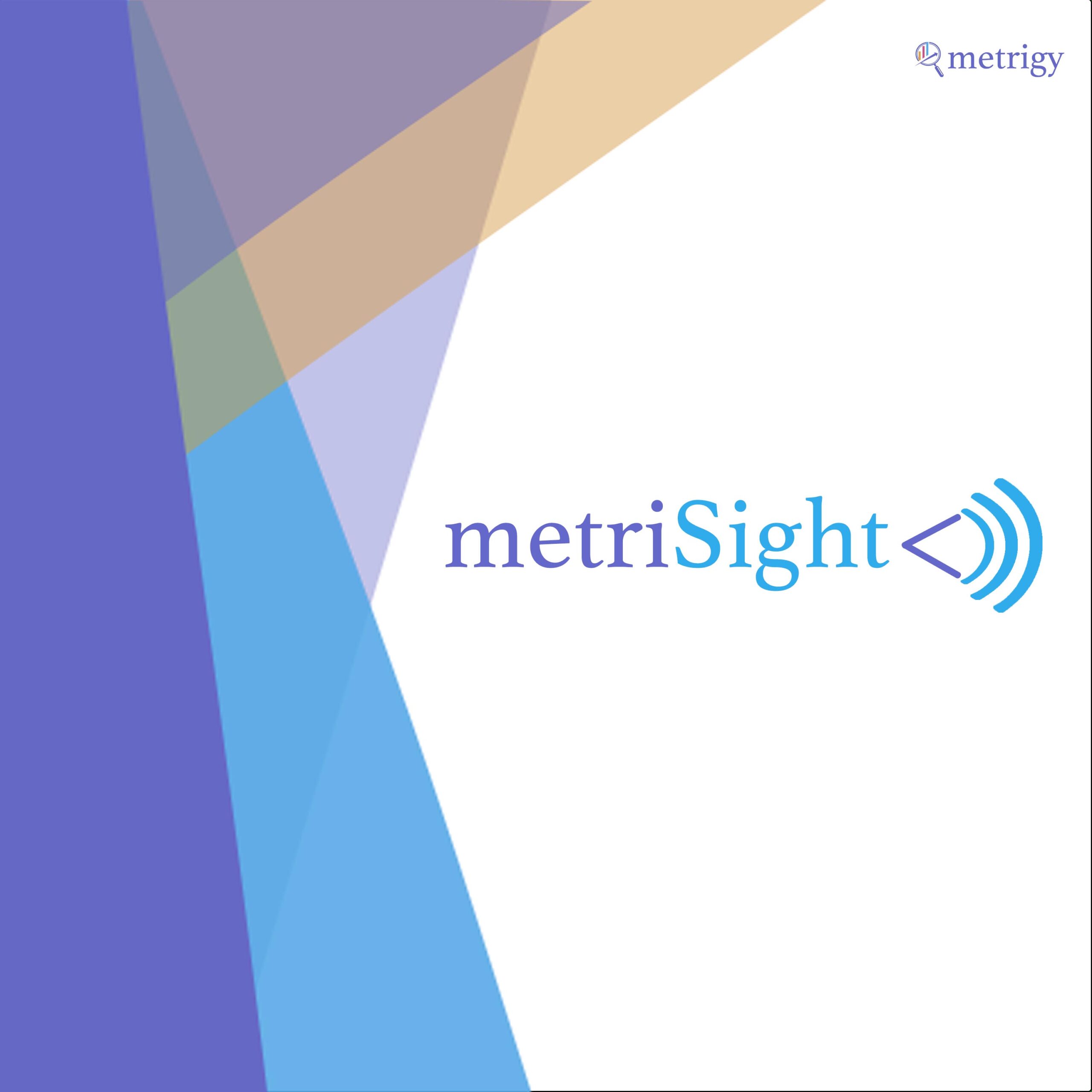 MetriSight Ep.38 – A Conversation with Micah Singer, CEO at Kurmi Software