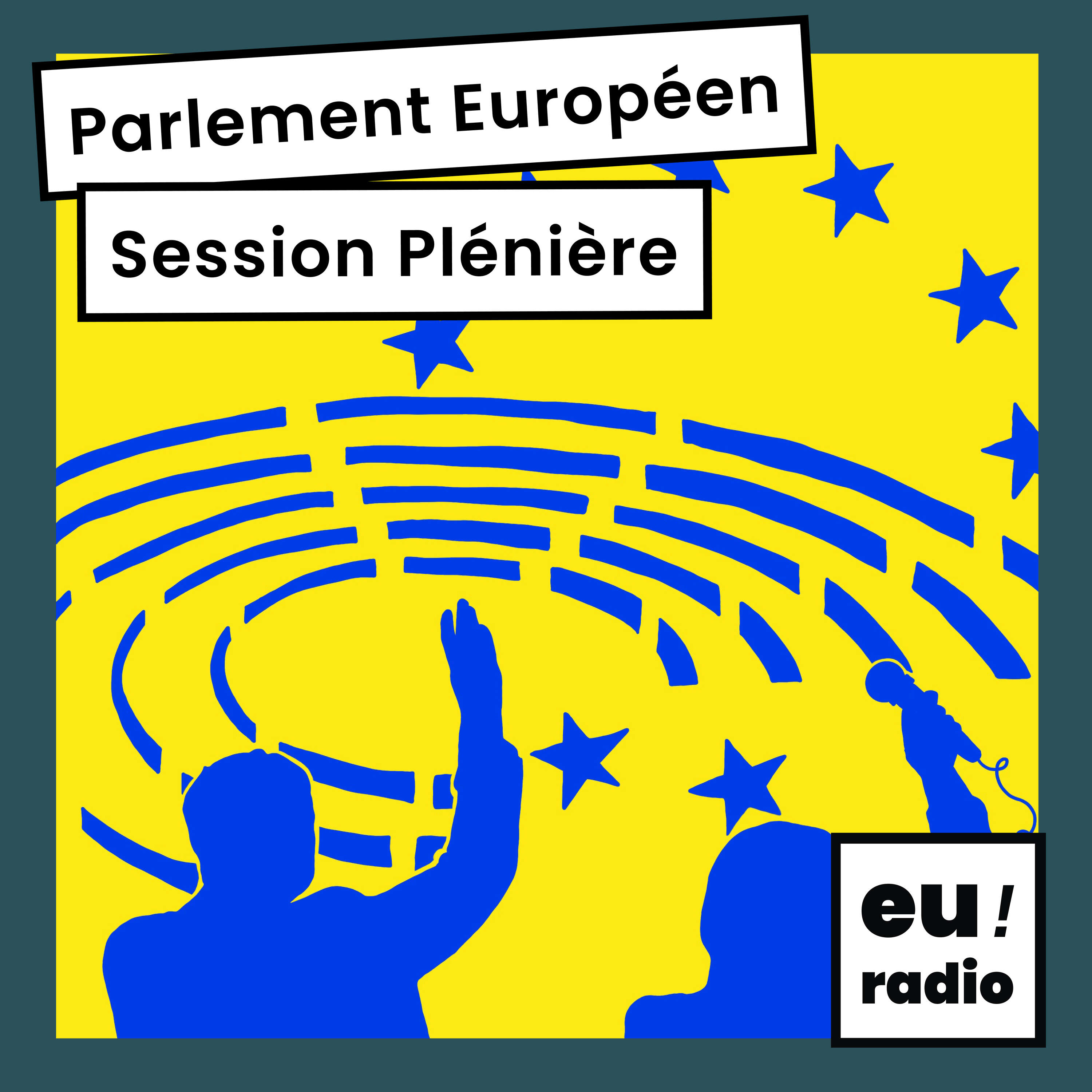 Plénière au Parlement : Anne-Sophie Pelletier - L'état de la législation européenne sur le numérique