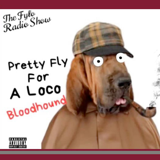 Pretty fly for a loco bloodhound