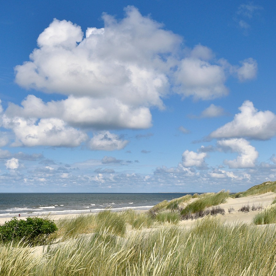 Sehnsucht nach dem Meer - Der Inselpastor