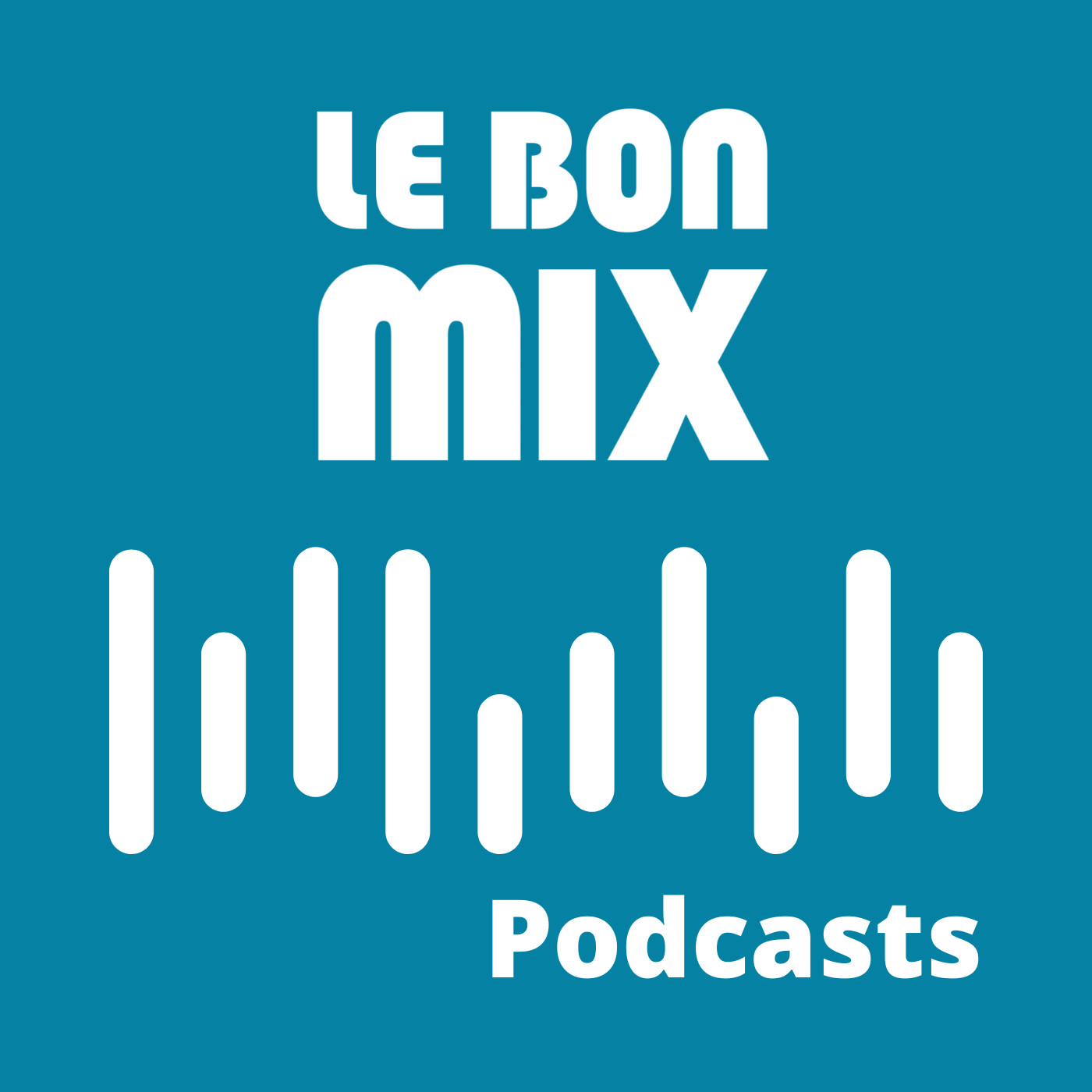 Le Bon Mix : replay des émissions 