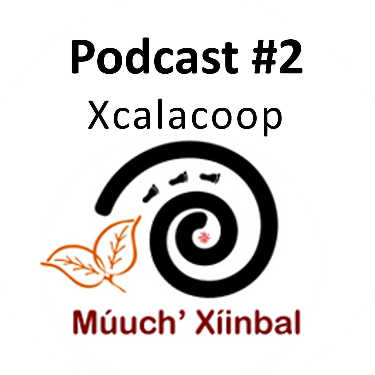 PODCAST #2. Xcalacoop, Yucatán, México.