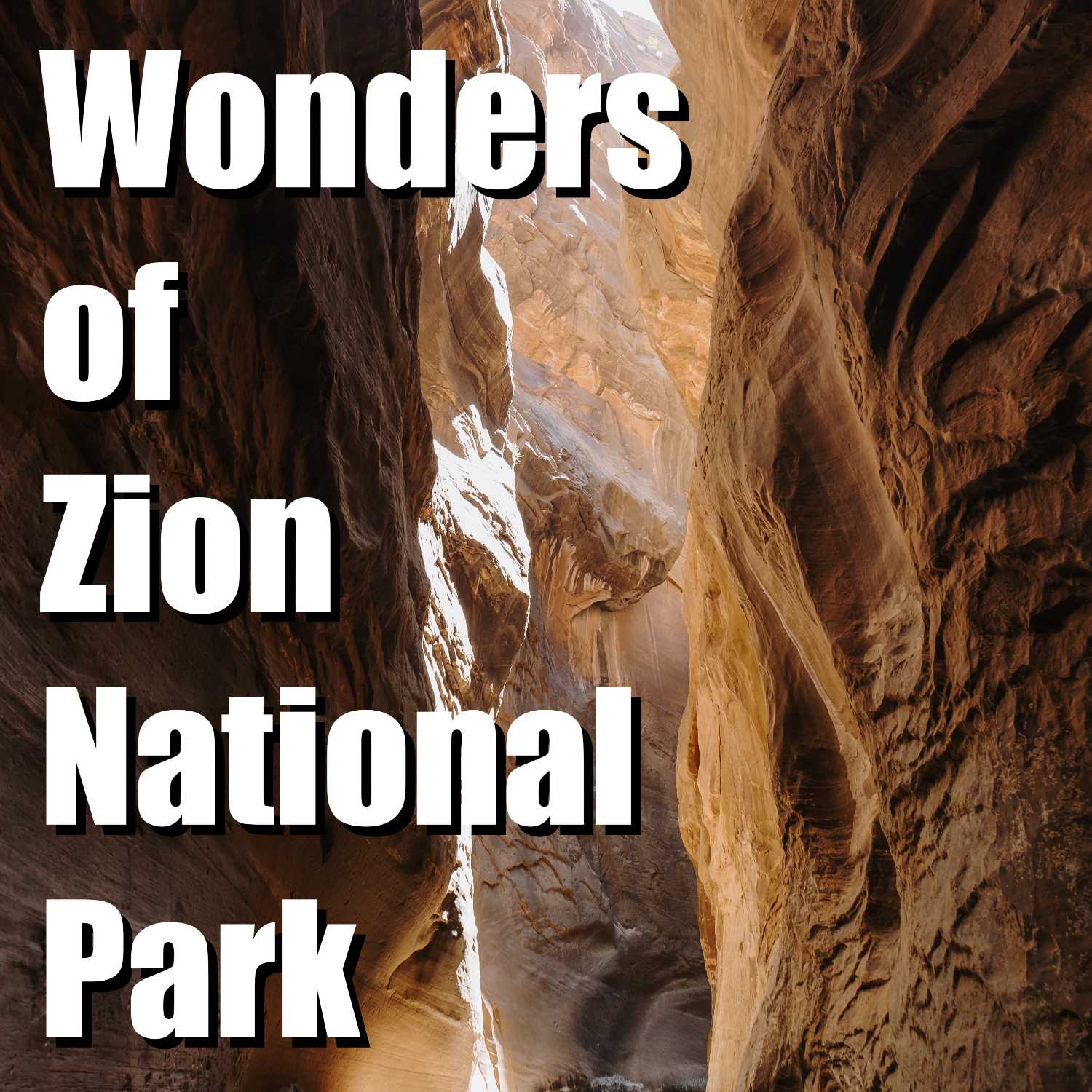 Be Amazed by the Wonders of Zion National Park