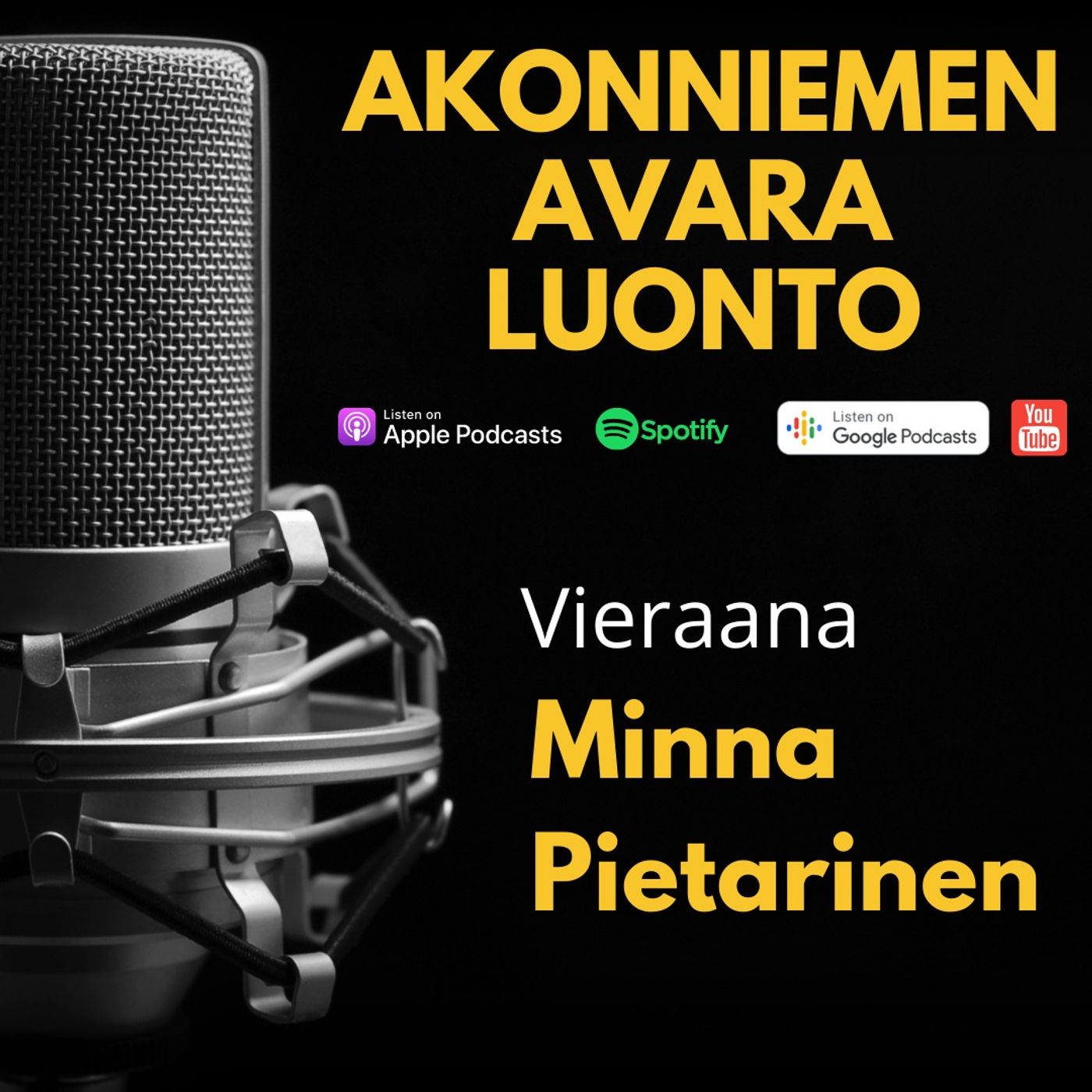 #120 Luovuus: Minna Pietarinen