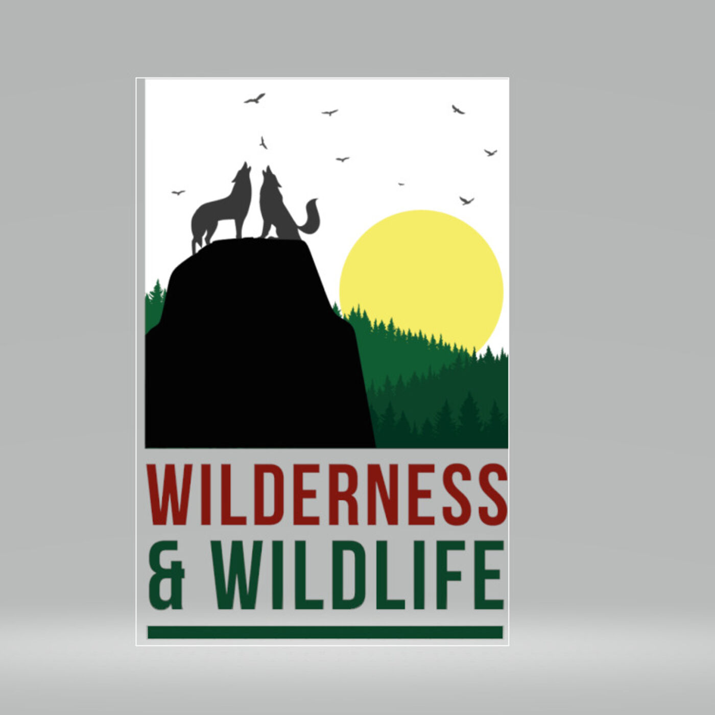 WILDERNESS & WILDLIFE 