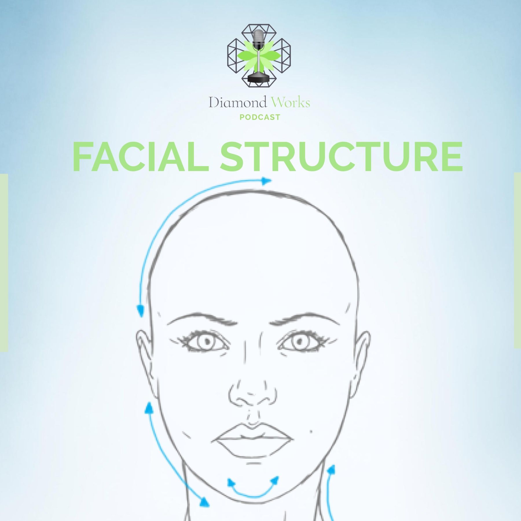 Facial Structure - Breaking down the layers of the face!