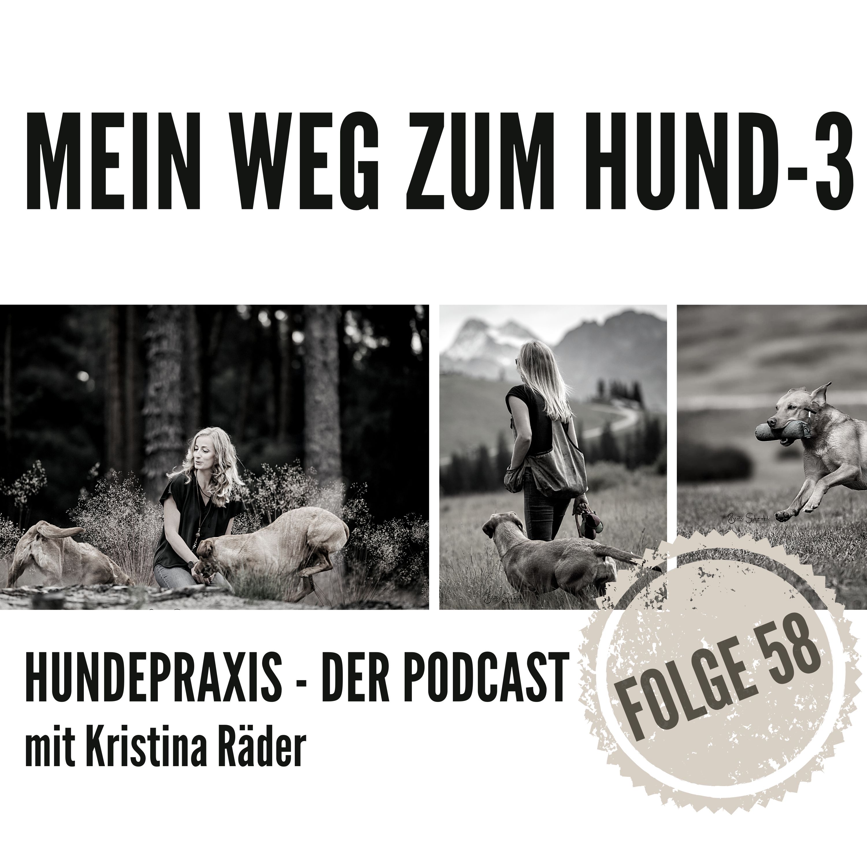 Mein Weg zum Hund - 3