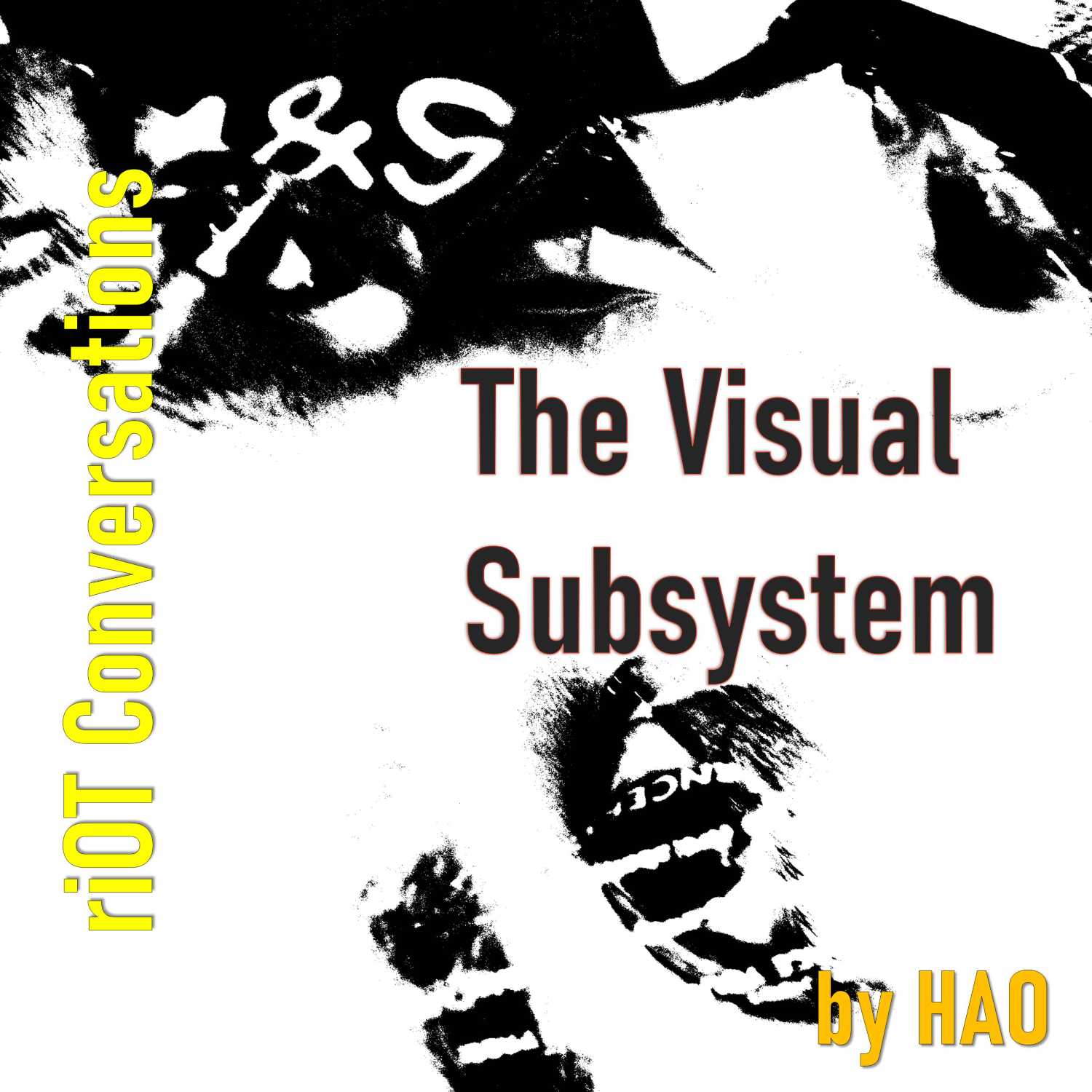 The Visual Subsystem