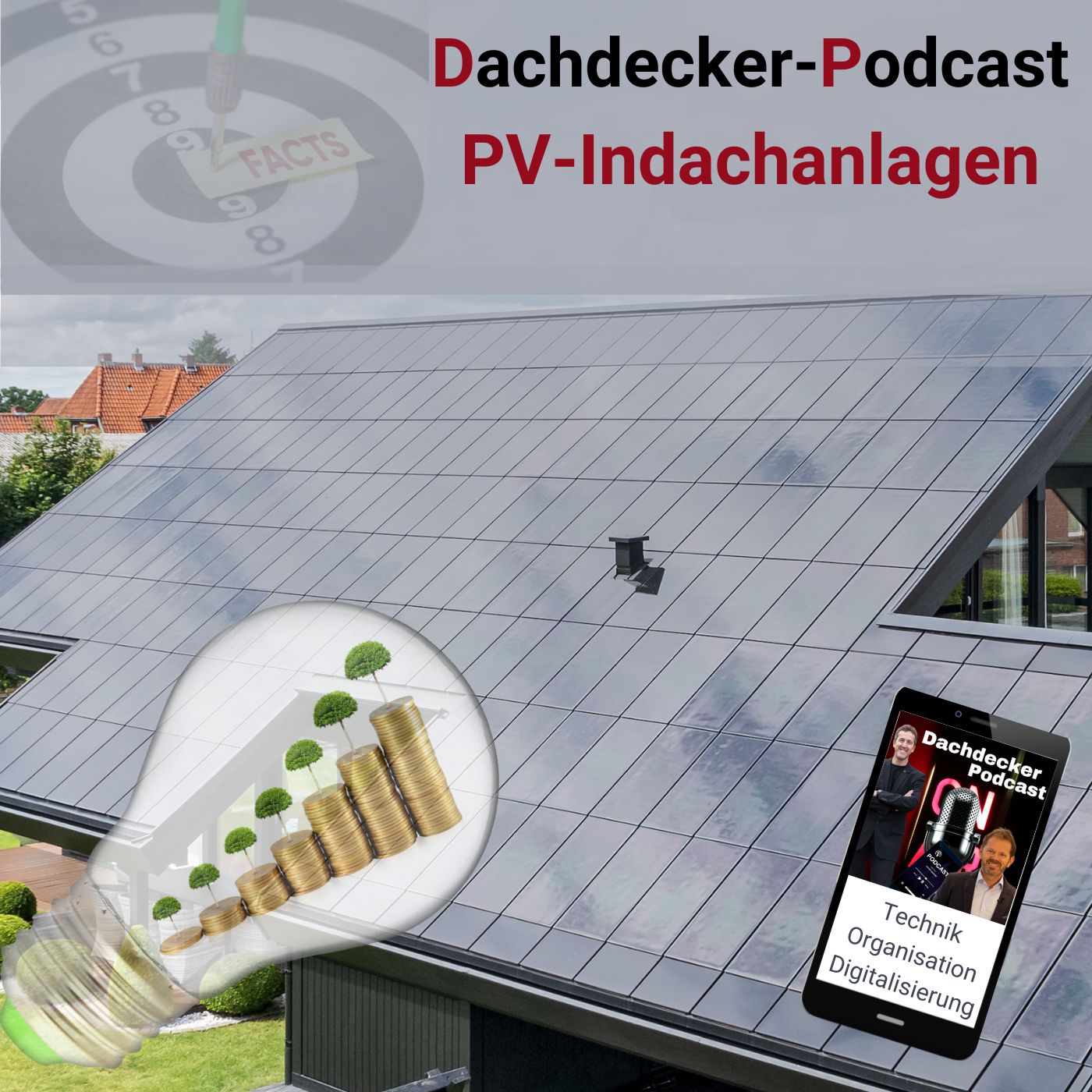 PV-Indachanlagen