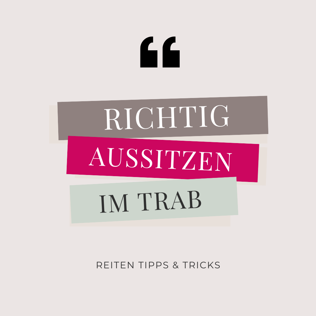 Richtig aussitzen im Trab