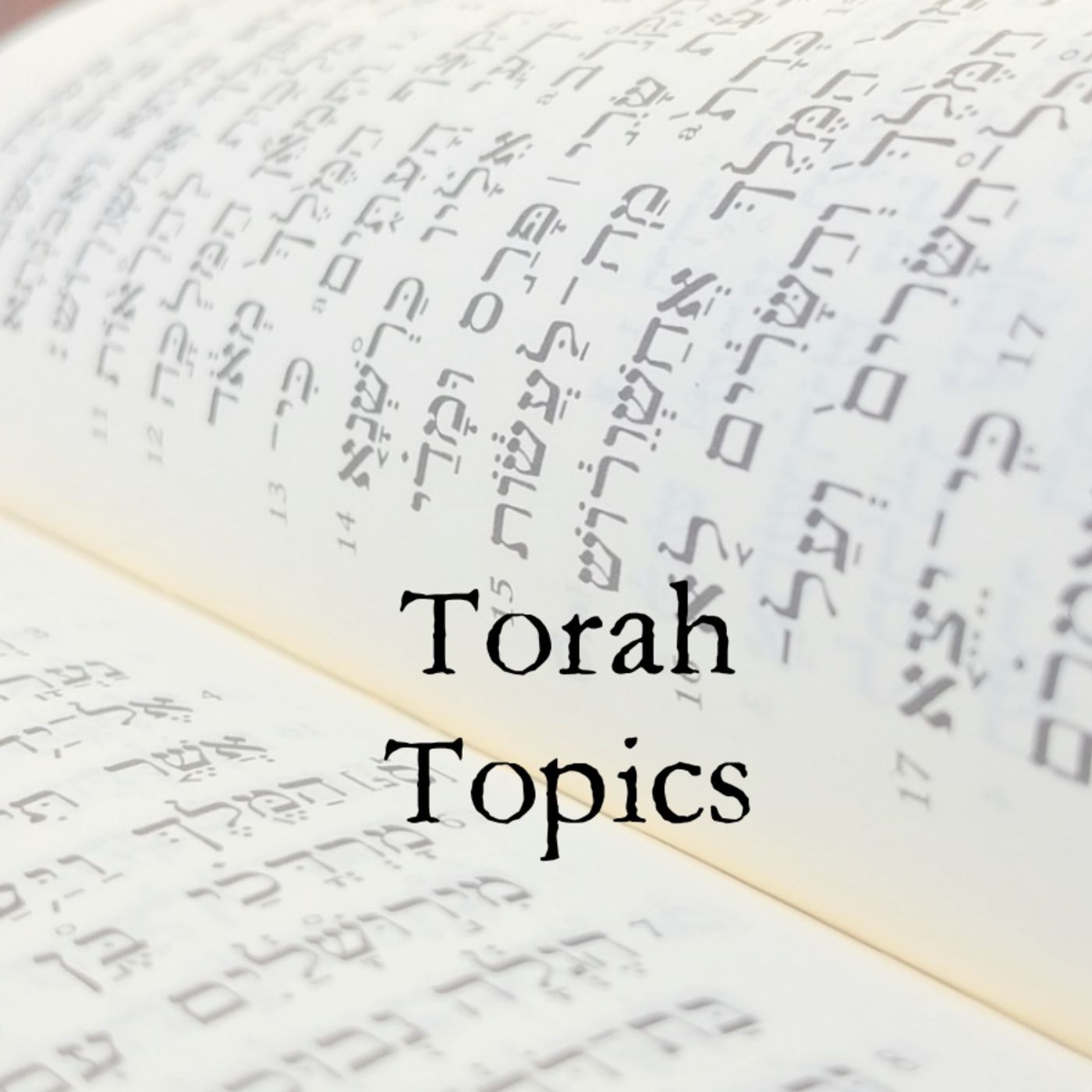 Torah Topics 