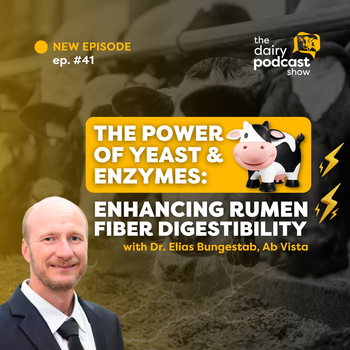 #41 - The power of yeast and enzymes: enhancing rumen fiber digestibility - Dr. Elias Bungestab