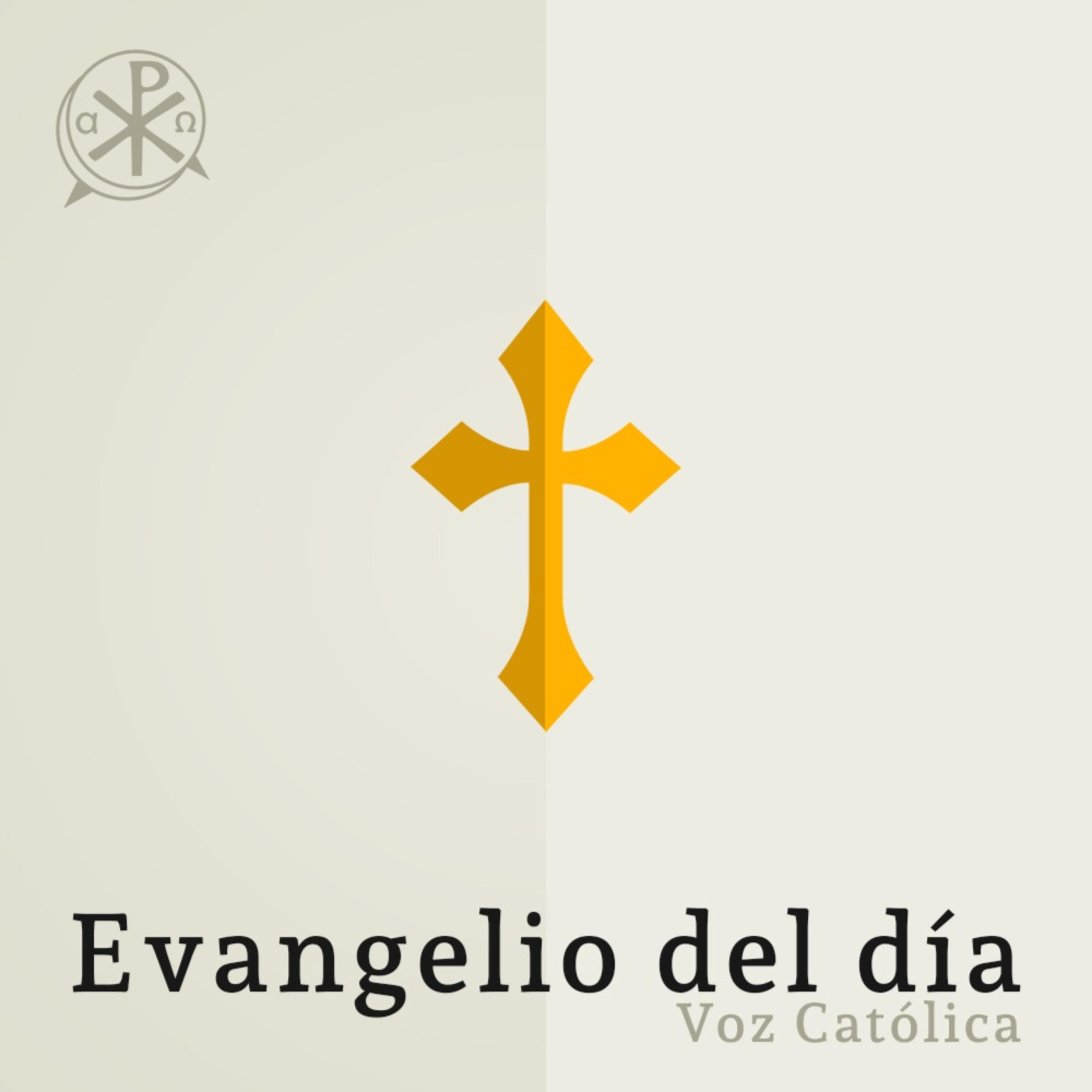 ⁣Evangelio de hoy, 28 de junio de 2023 | Los frutos como criterio de discernimiento espiritual