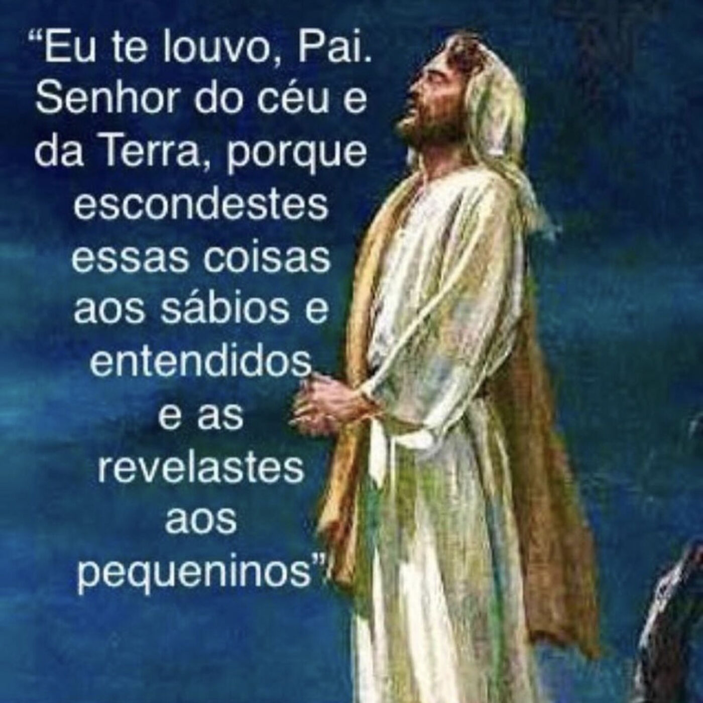 16.06.2023  -  Sexta/feira - Evangelho Meditado Mt 11,25-30